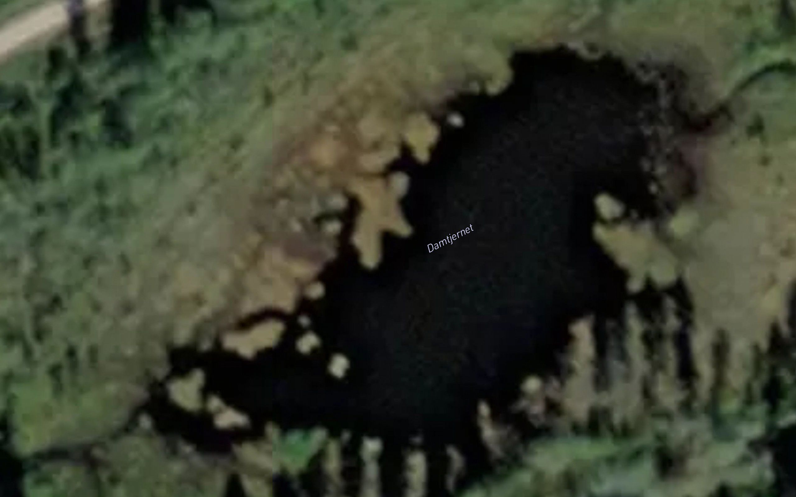 Damtjernet