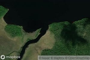 Unijoki