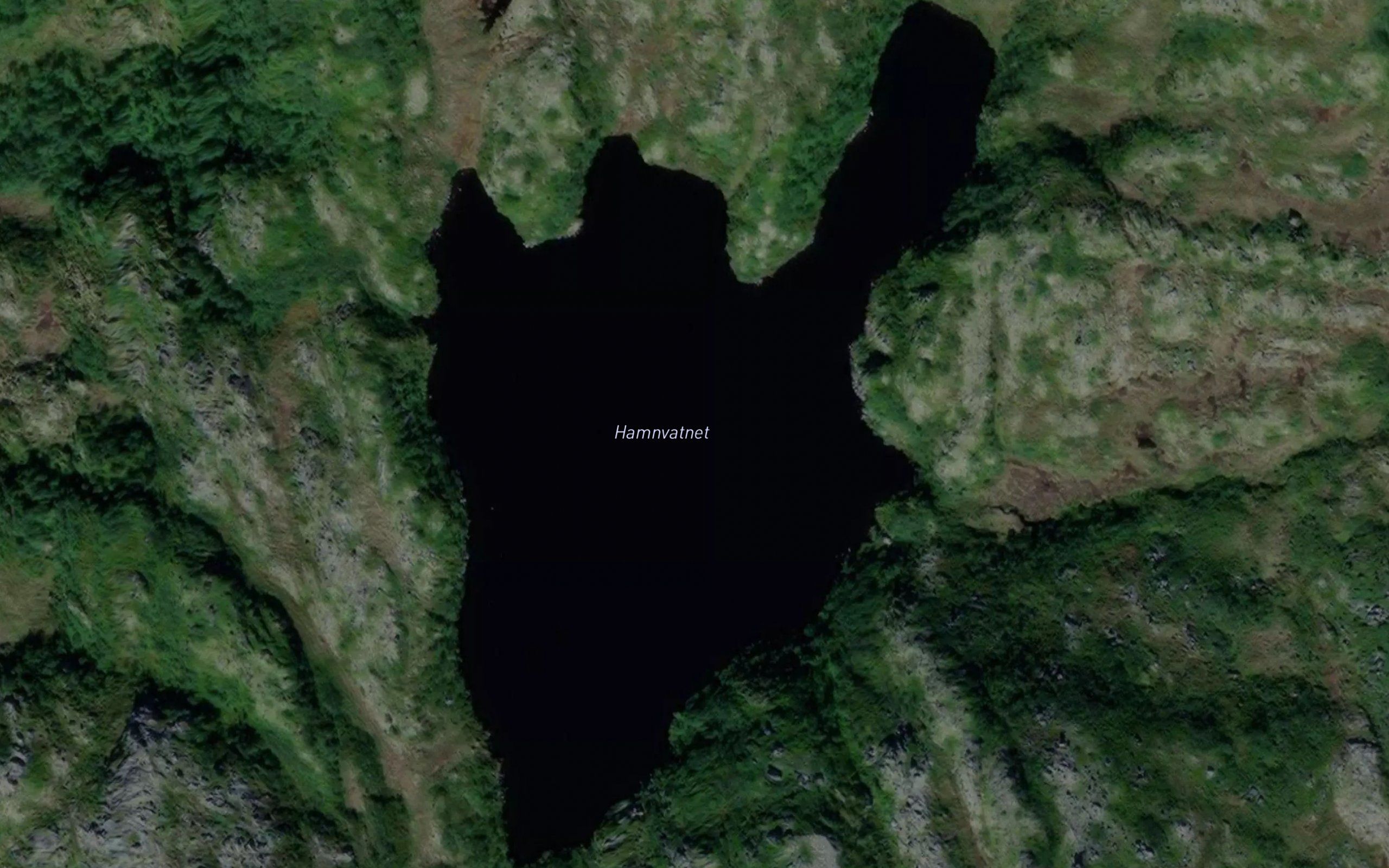 Hamnvatnet