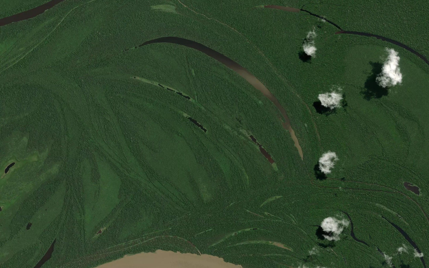 Satellite map of the Parana Tapiu