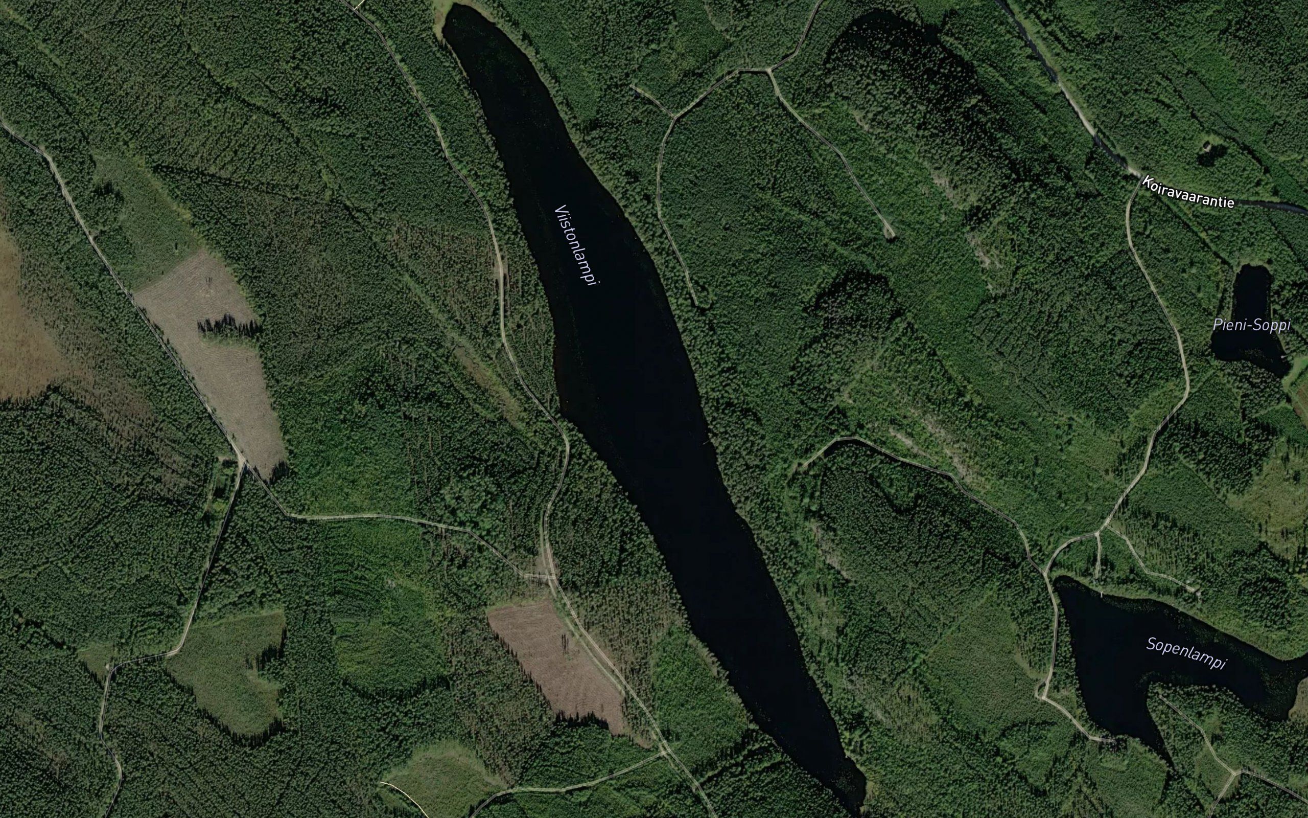 Viistonlampi