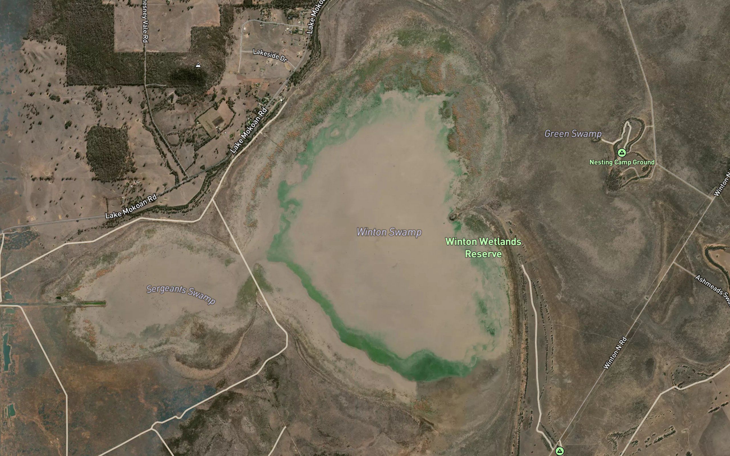 Seven Mile Swamp