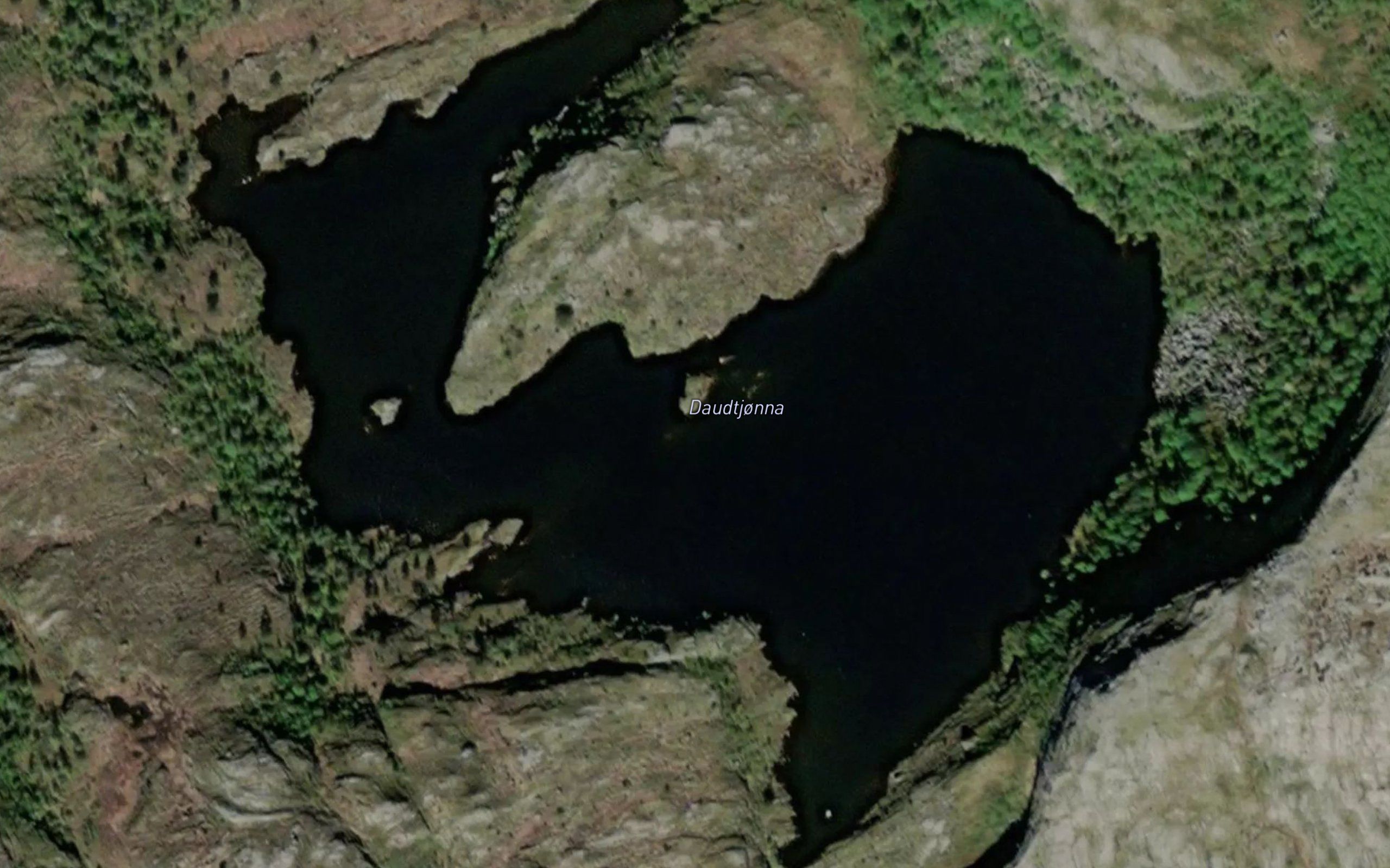 Daudtjonna