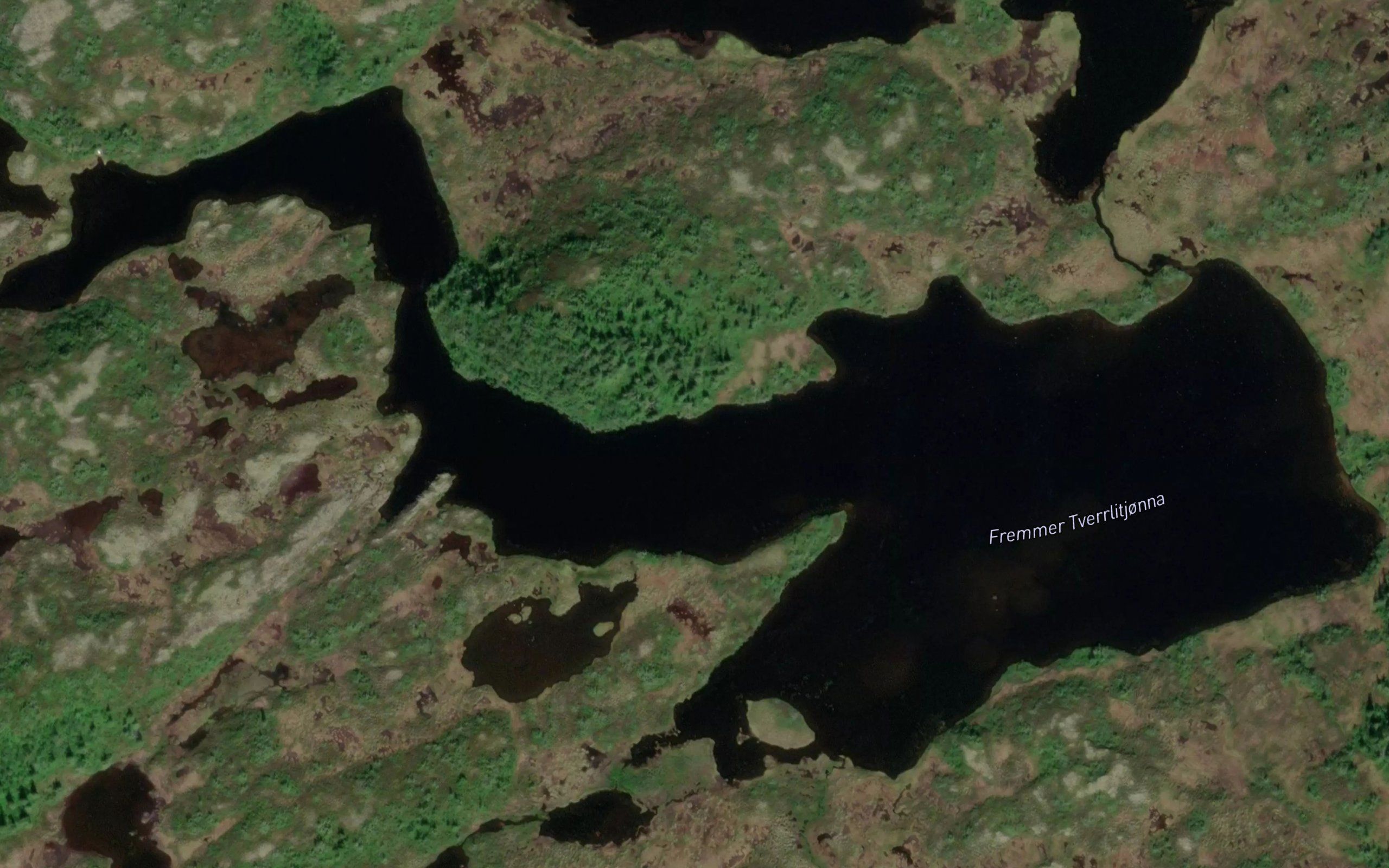 Tverrlitjornan