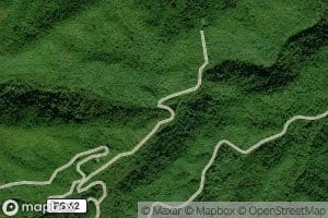 Little Blackgum Branch