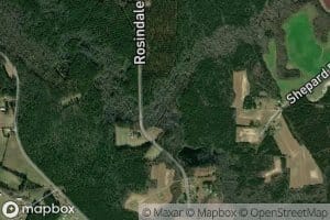 Pine Log Swamp