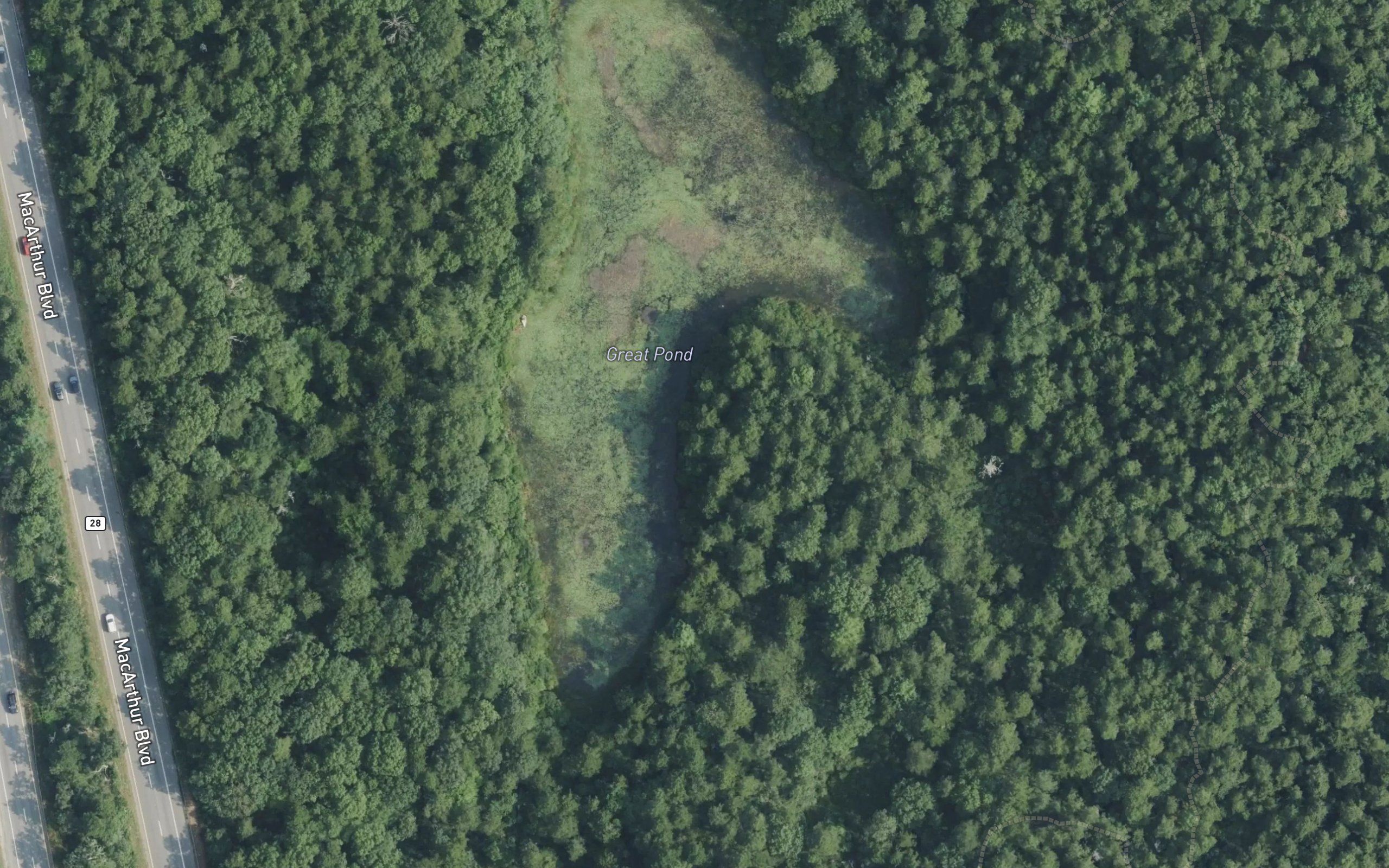 Great Pond