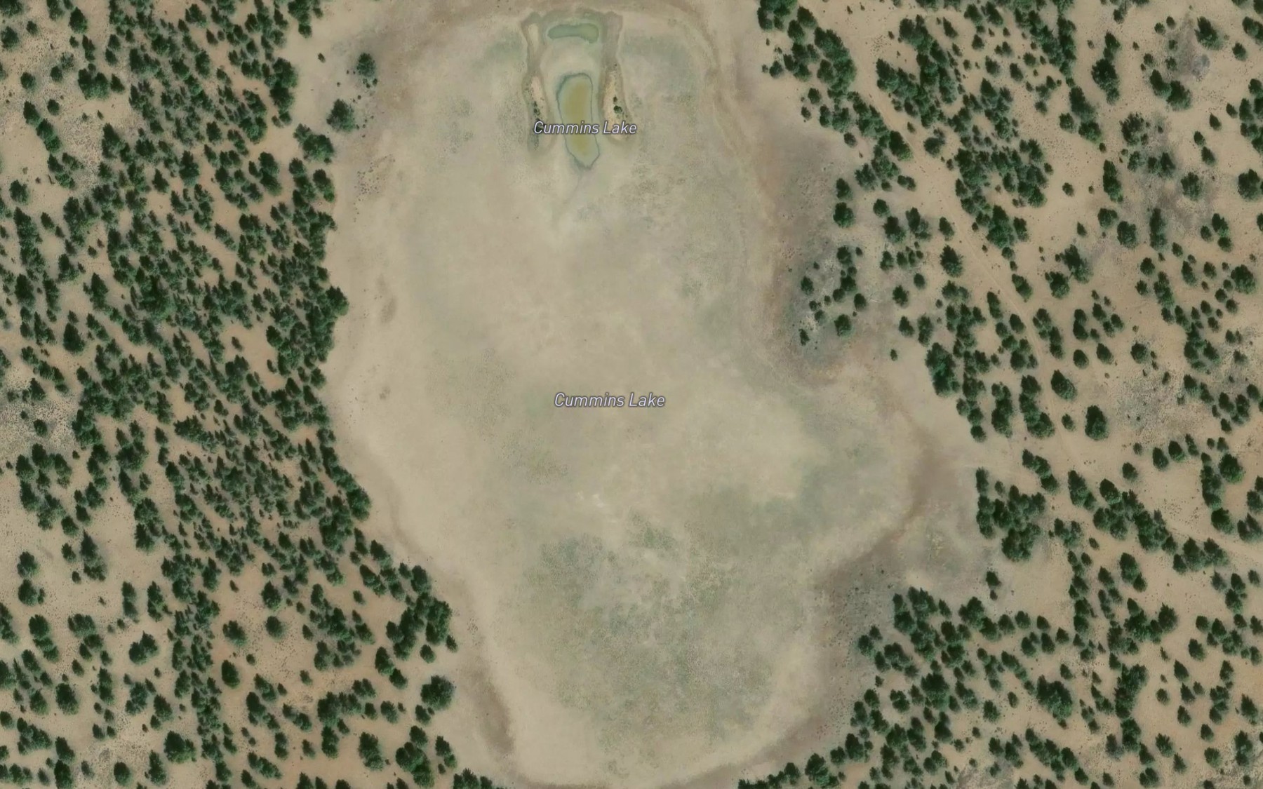 Satellite map of the Cummins Lake