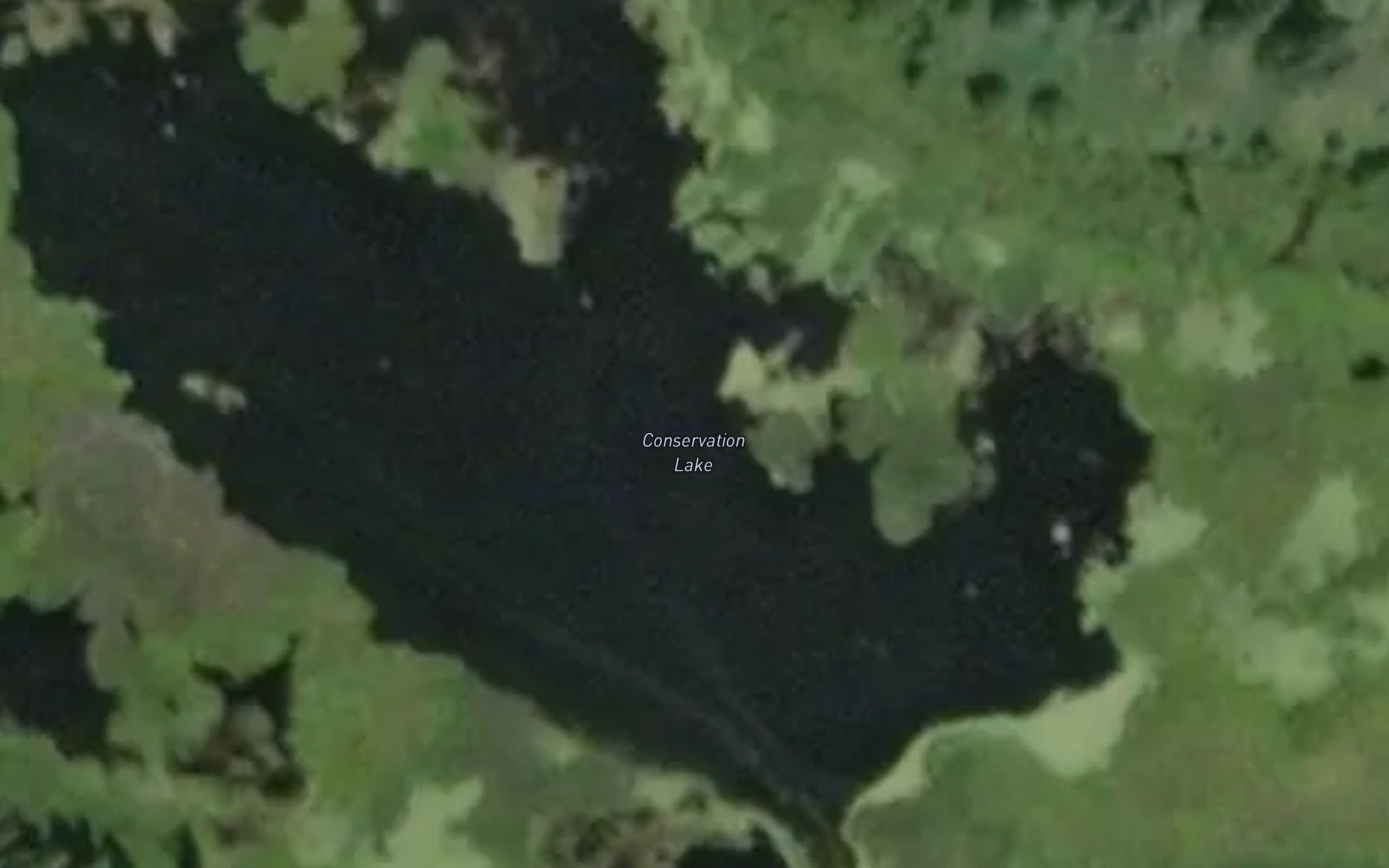 Conservation Lake