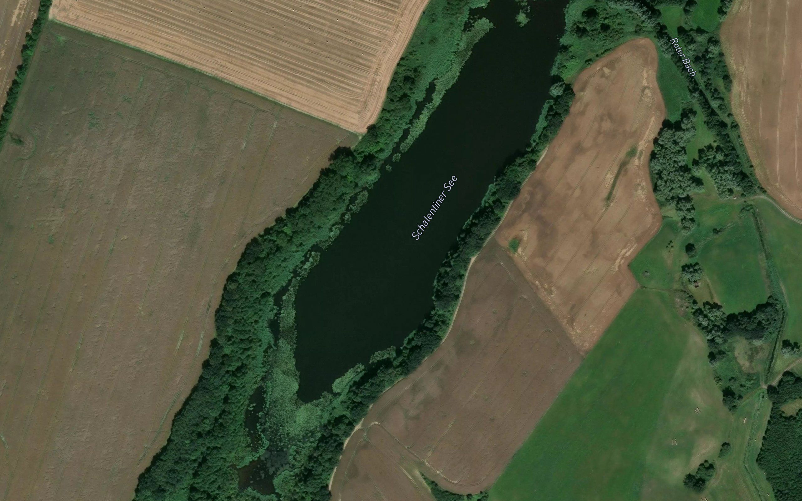 Schalentiner See