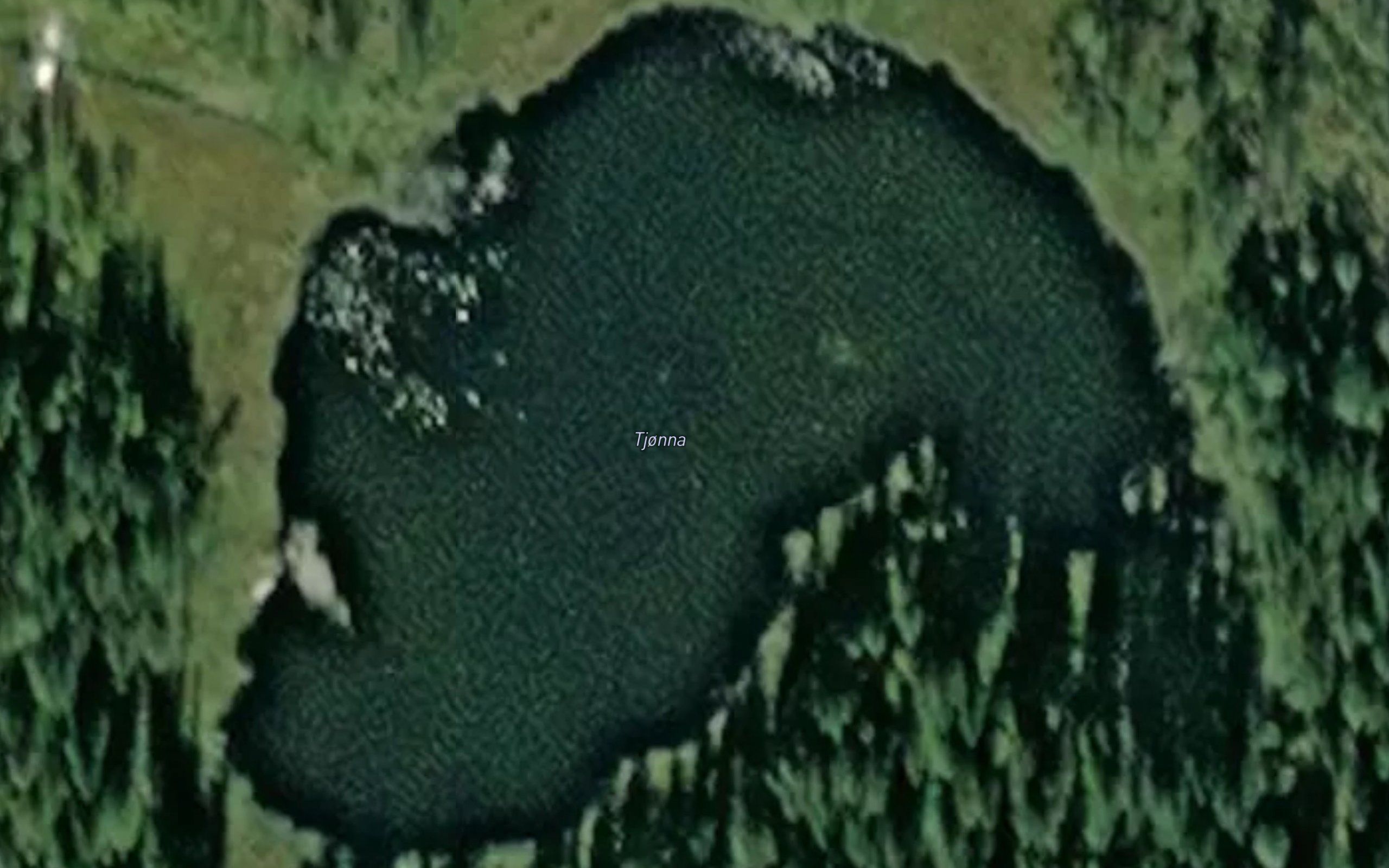Tjonna