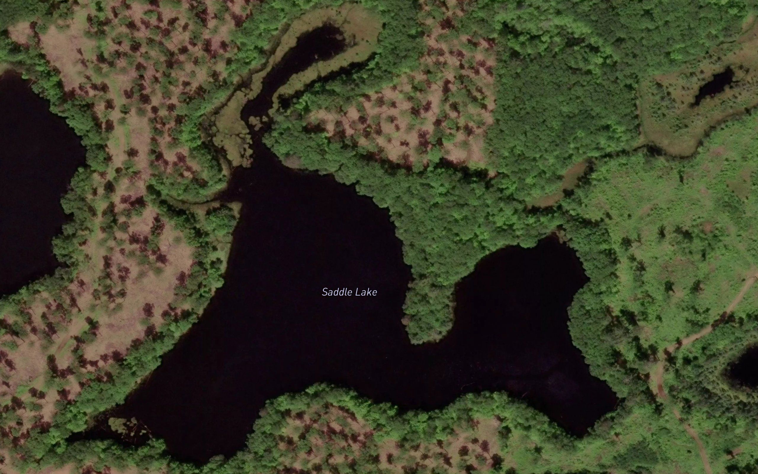 Saddle Lake