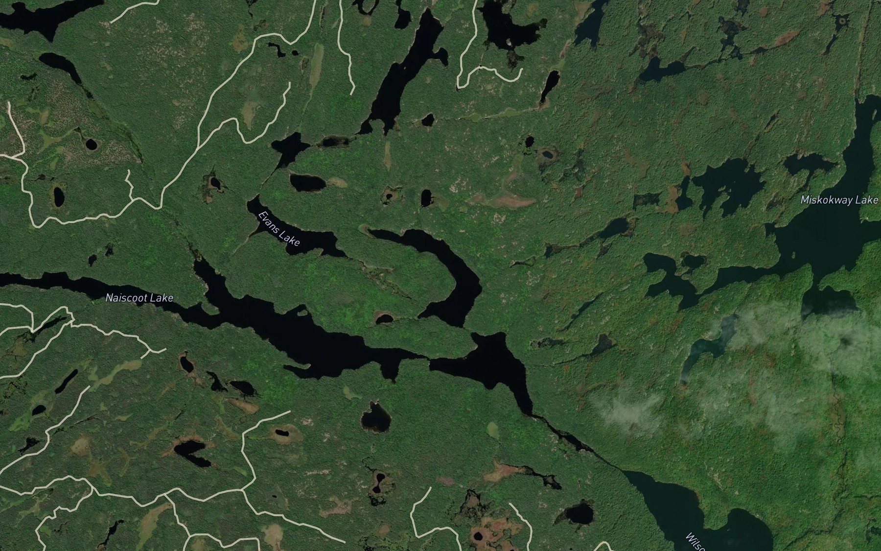 Satellite map of the Horseshoe Lake