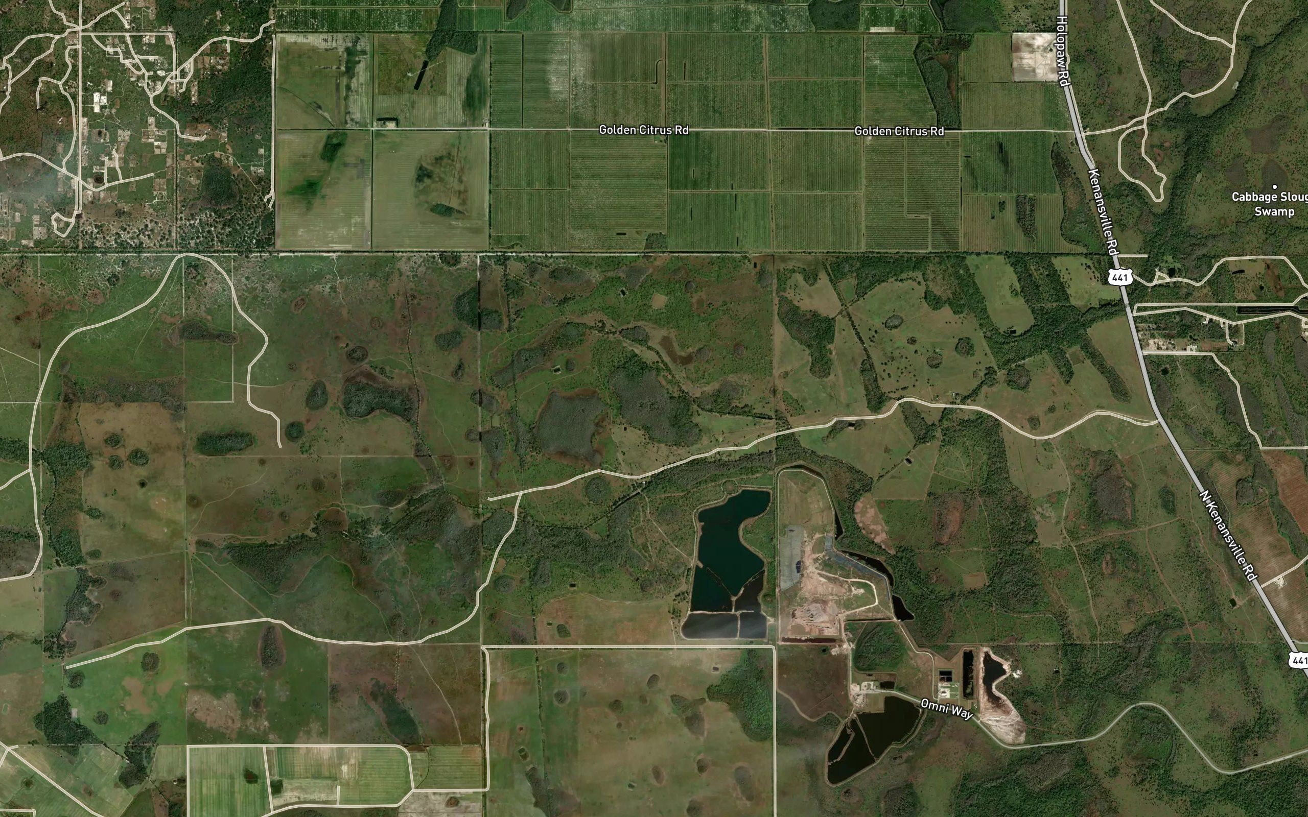 Oakey Pond