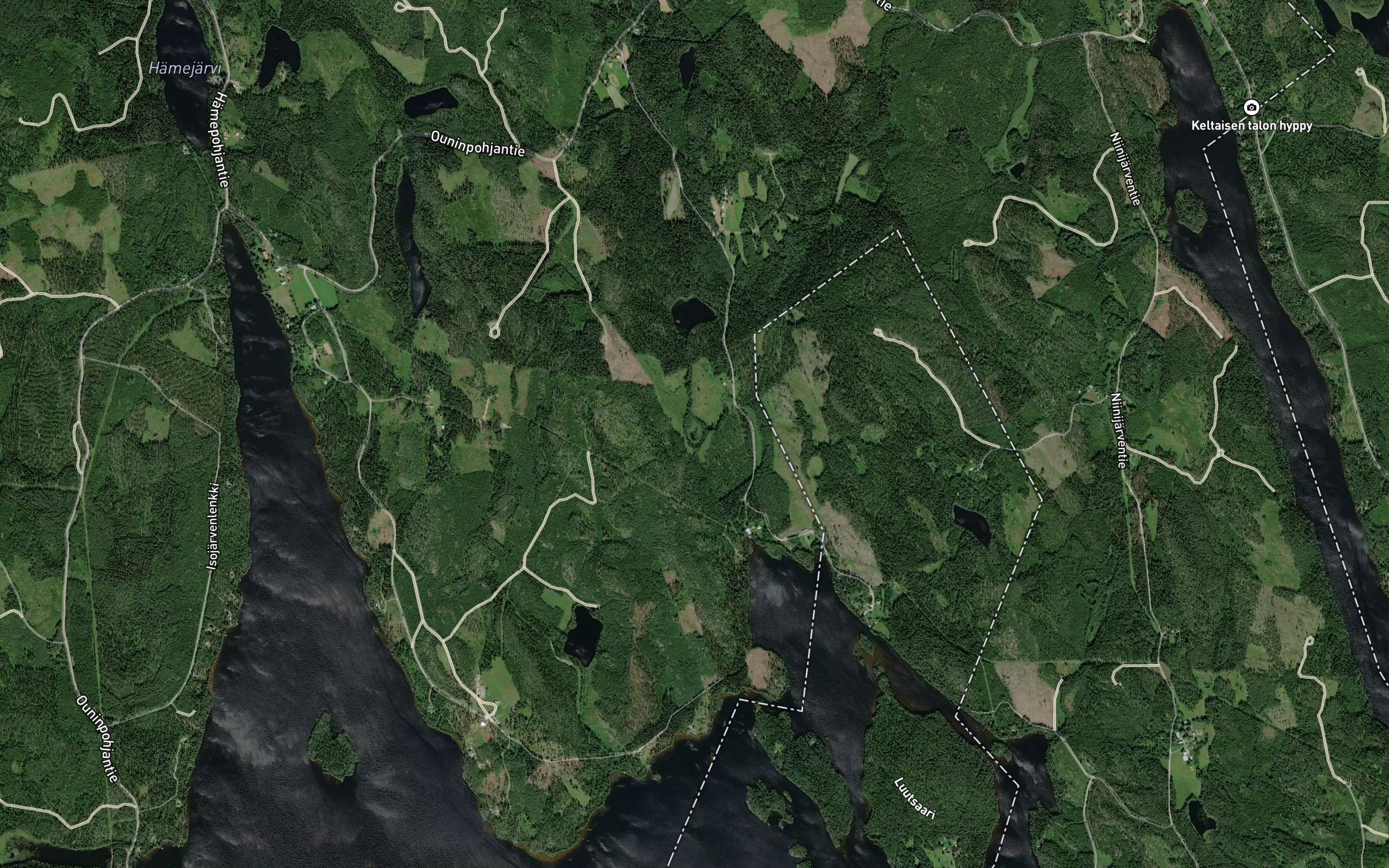 Porraslammi