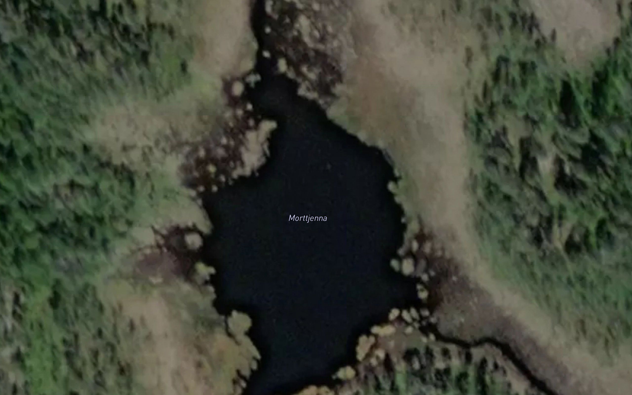 Morttjerna