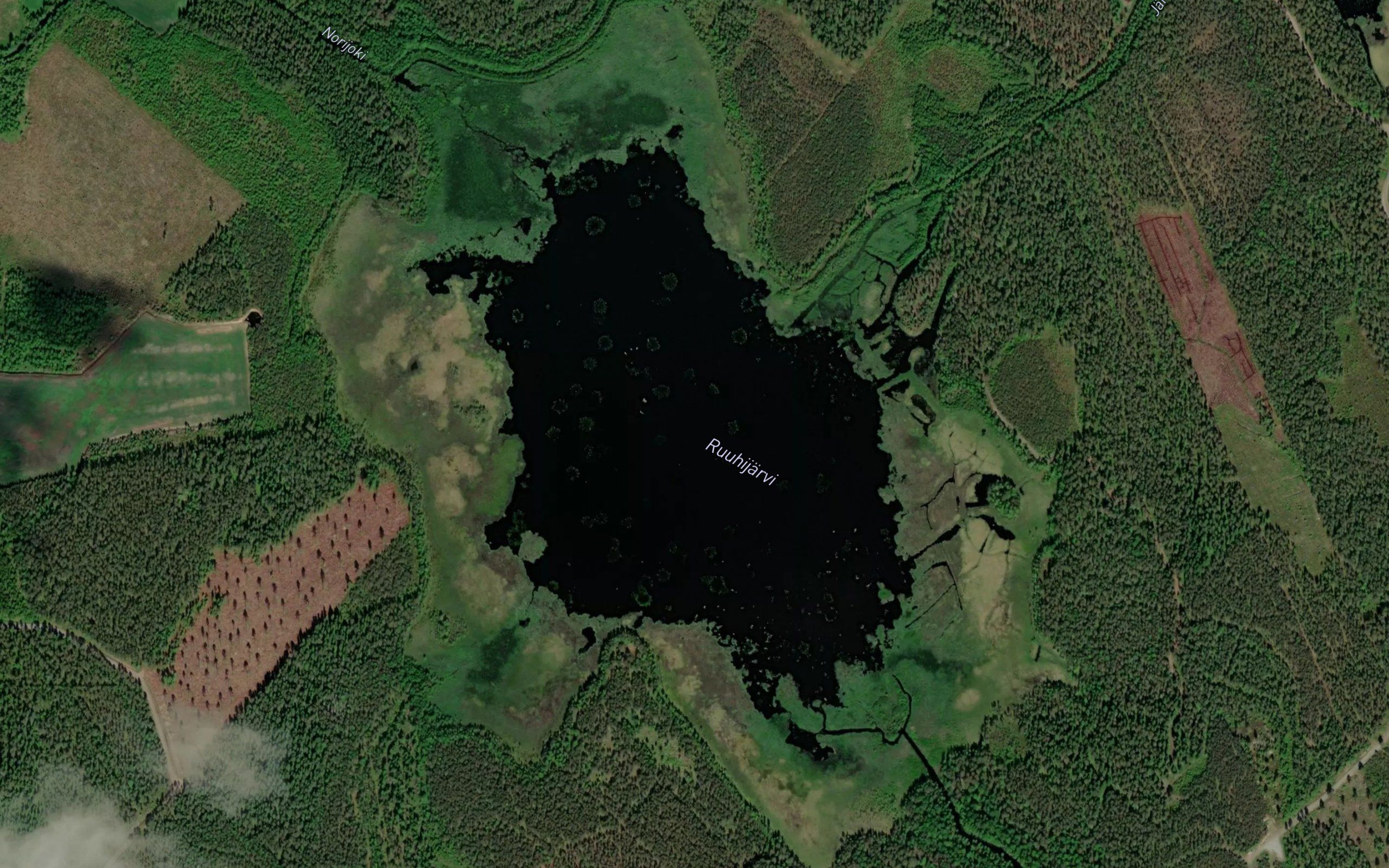 Ruuhijarvi
