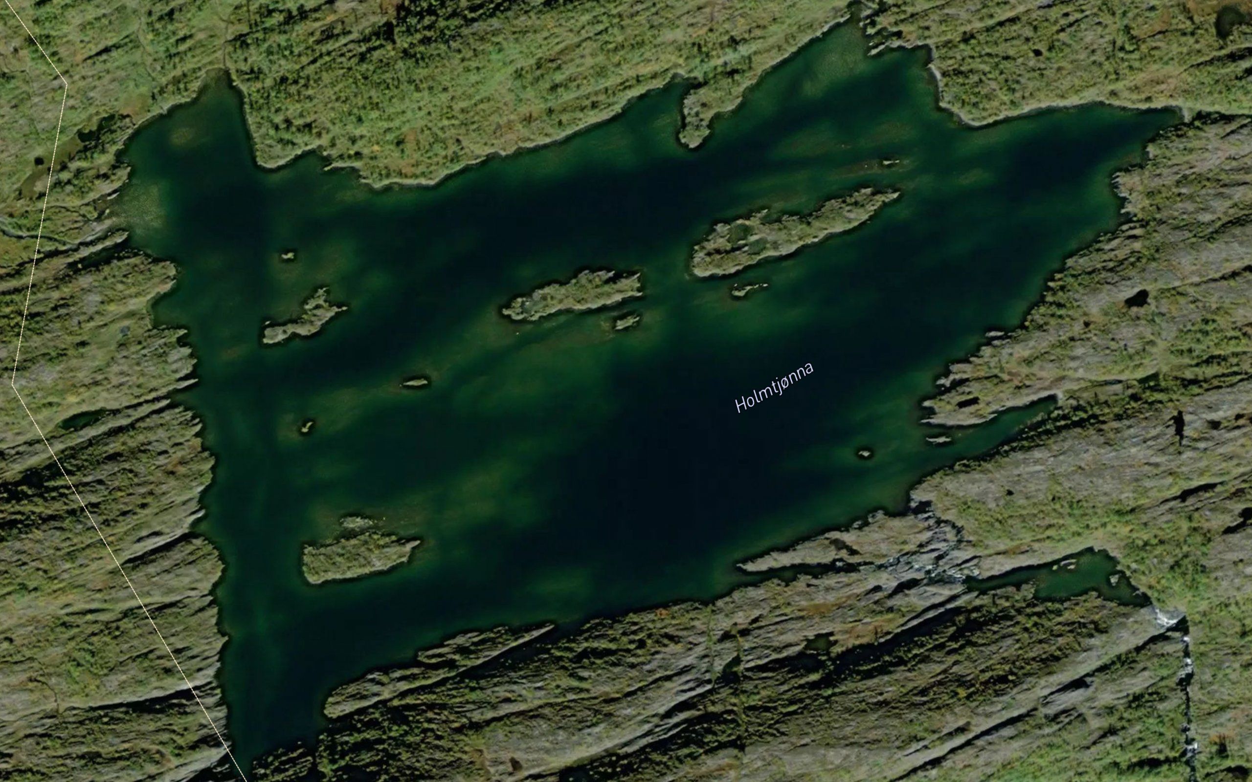 Holmtjorna