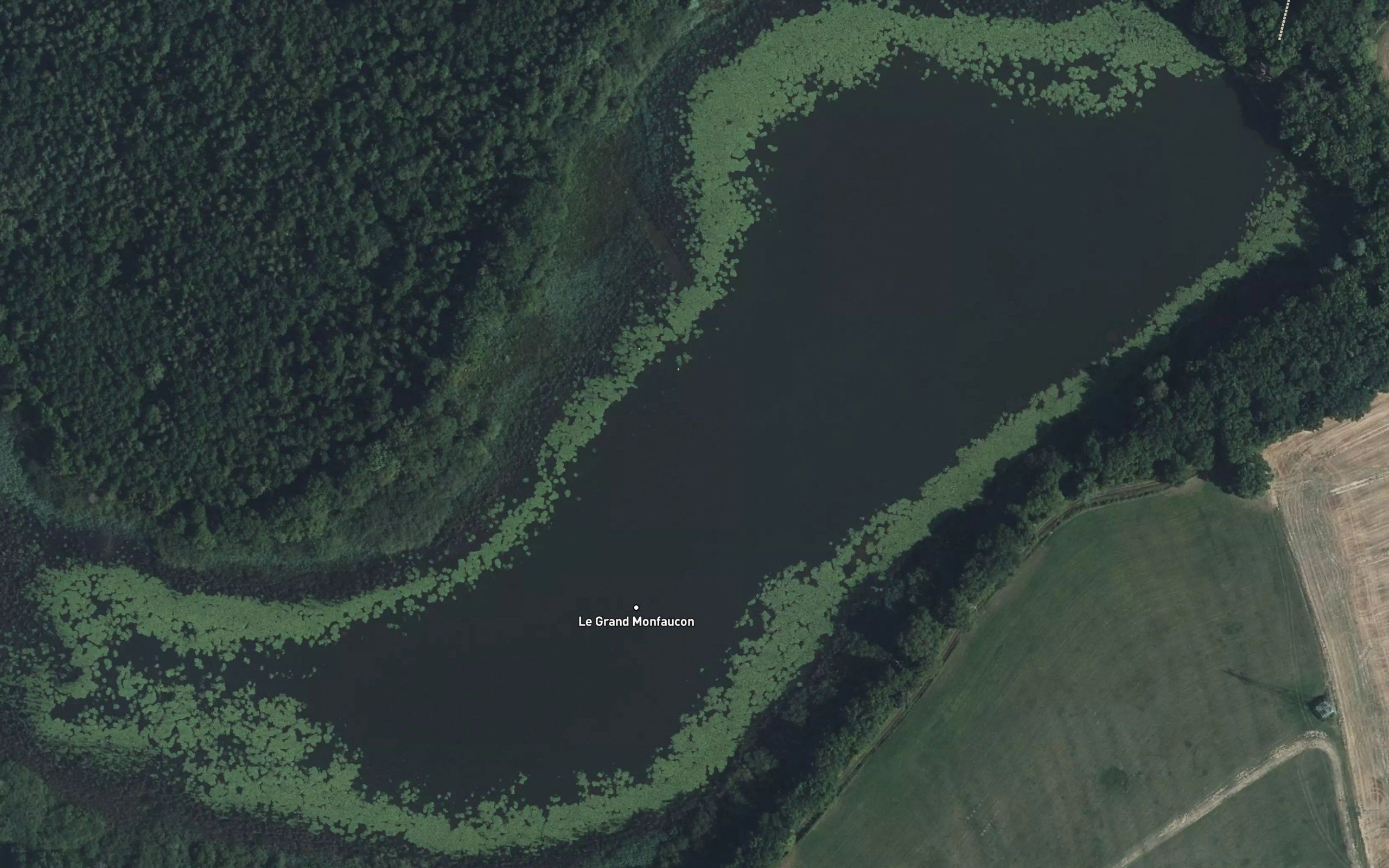 Etang du Grand Montfaucon
