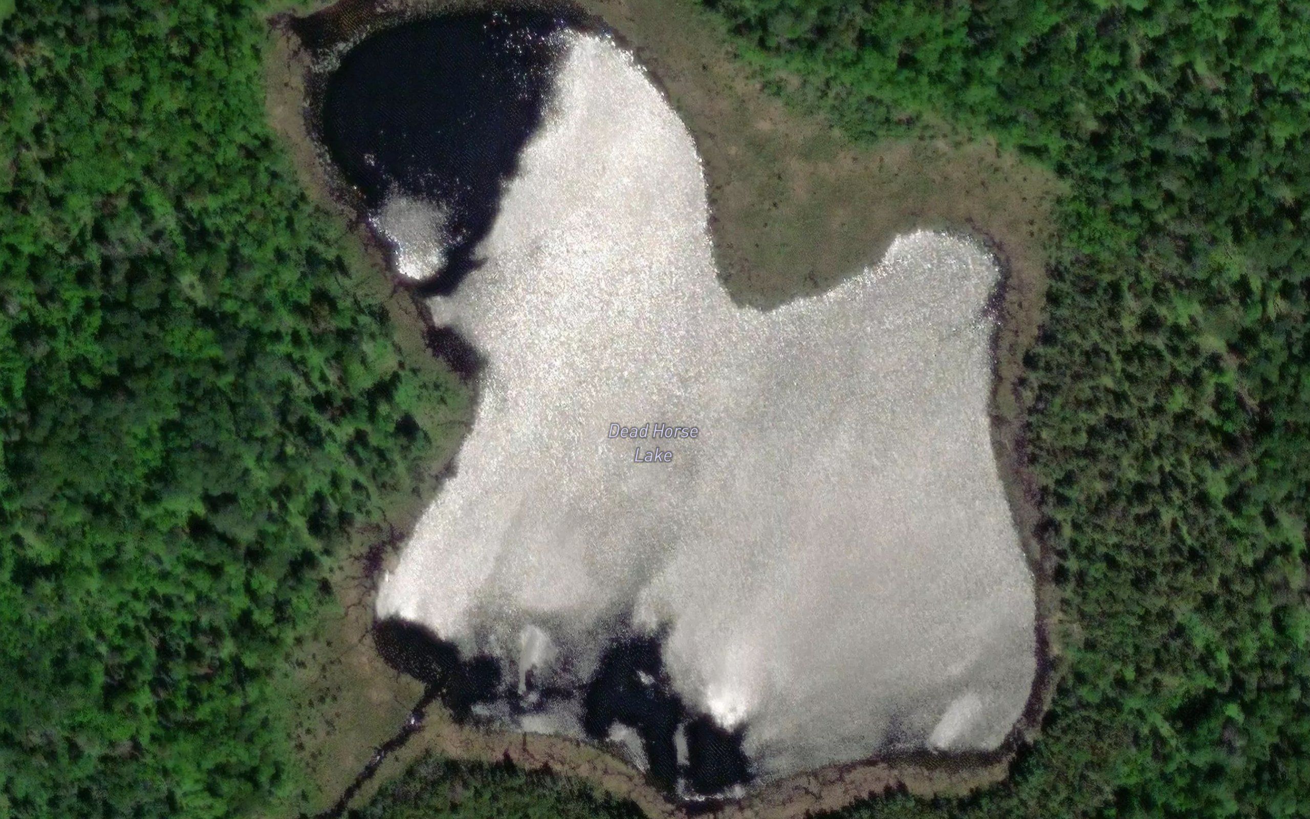 Dead Horse Lake