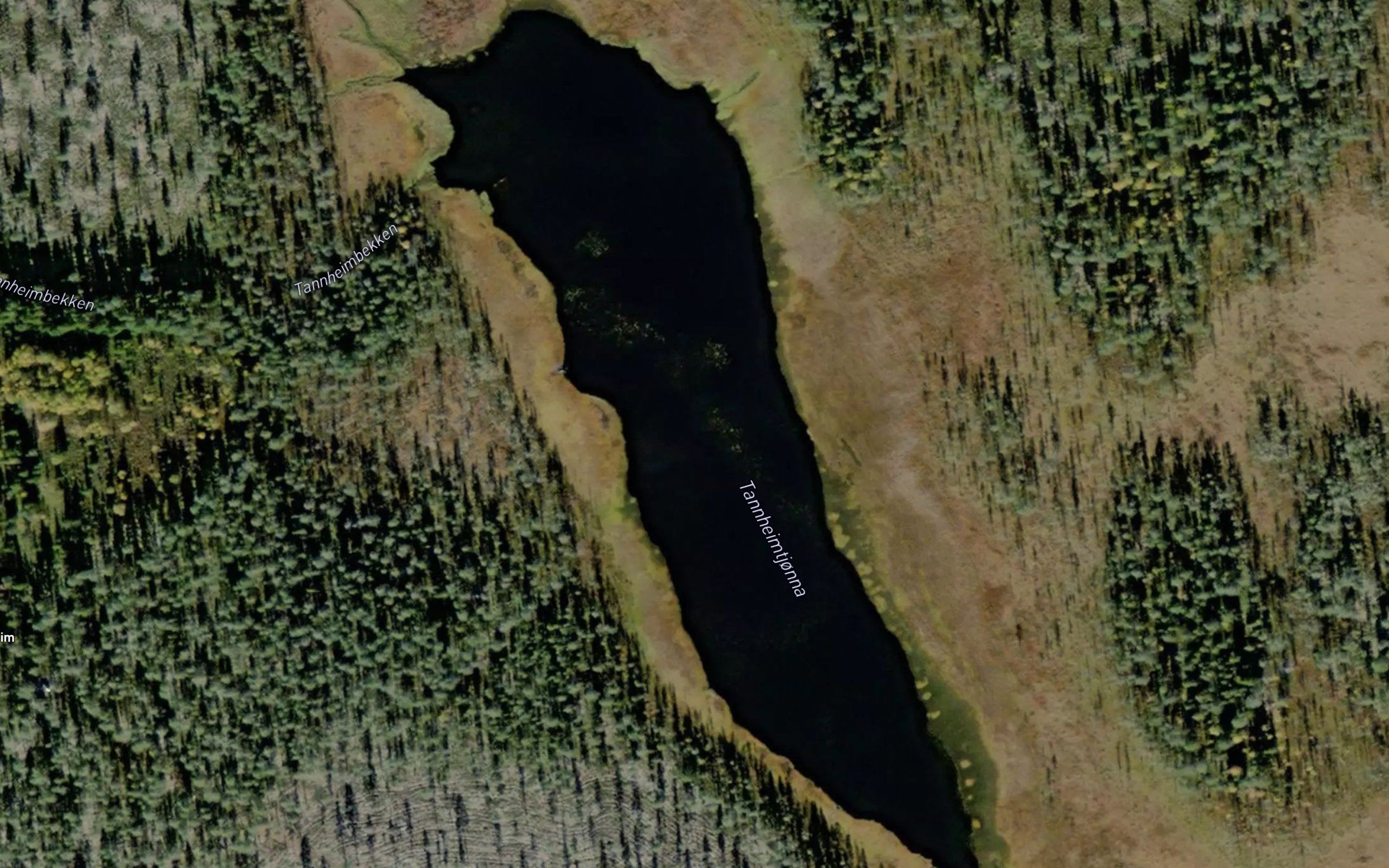 Tannatjonna