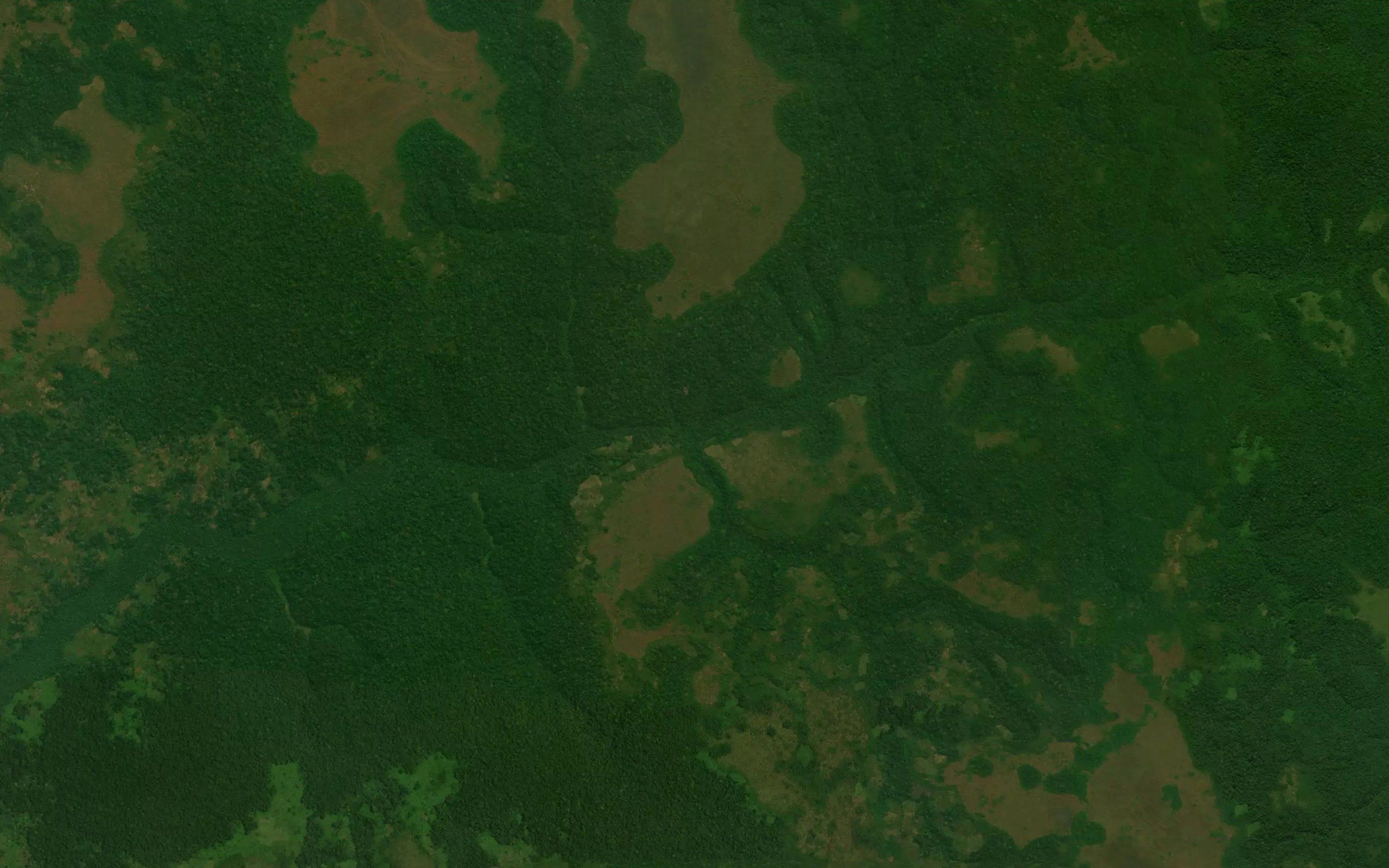 Tshisanga