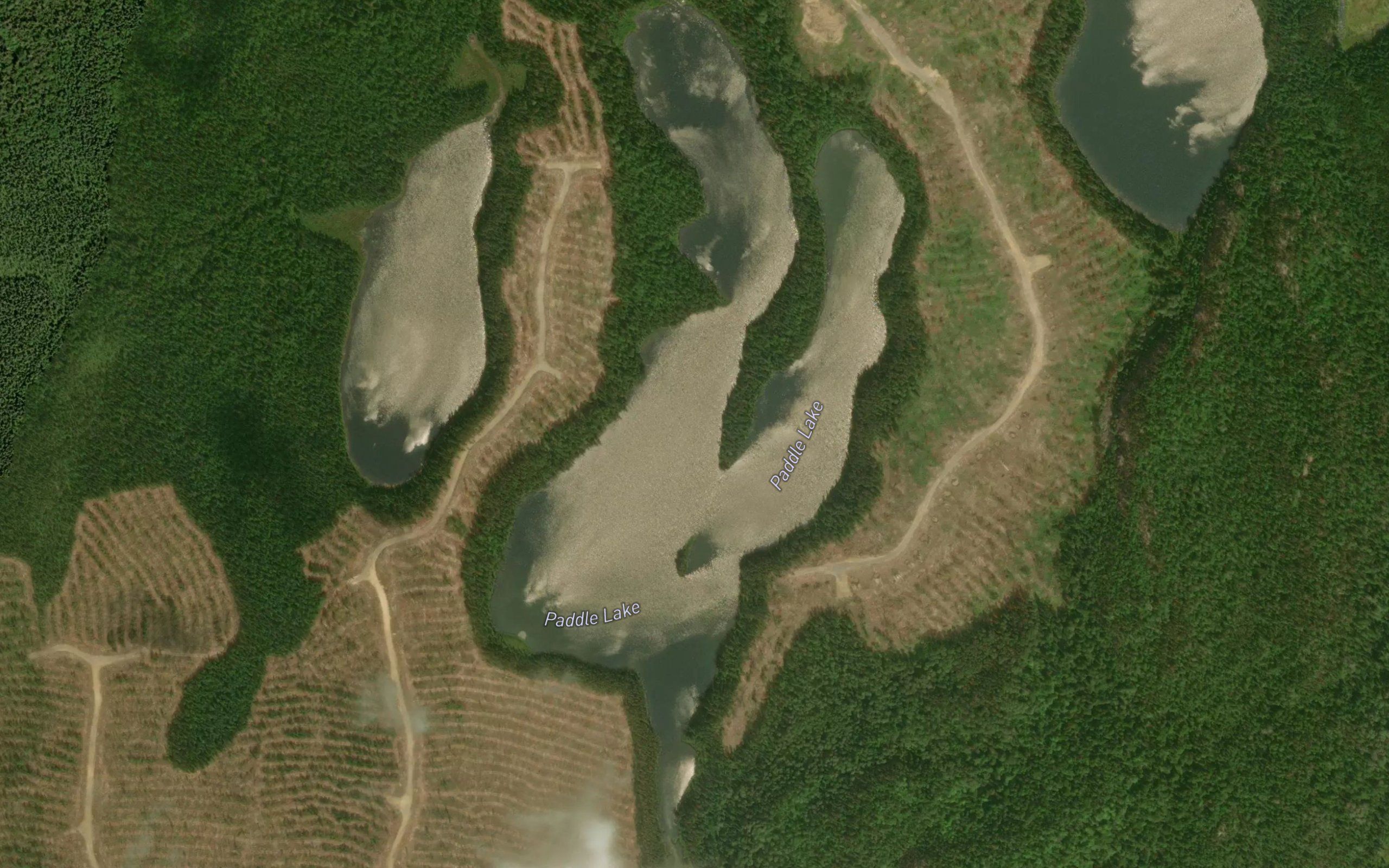 Paddle Lake