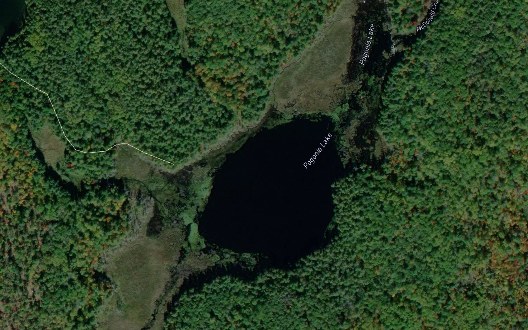 Satellite map of the Pogonia Lake