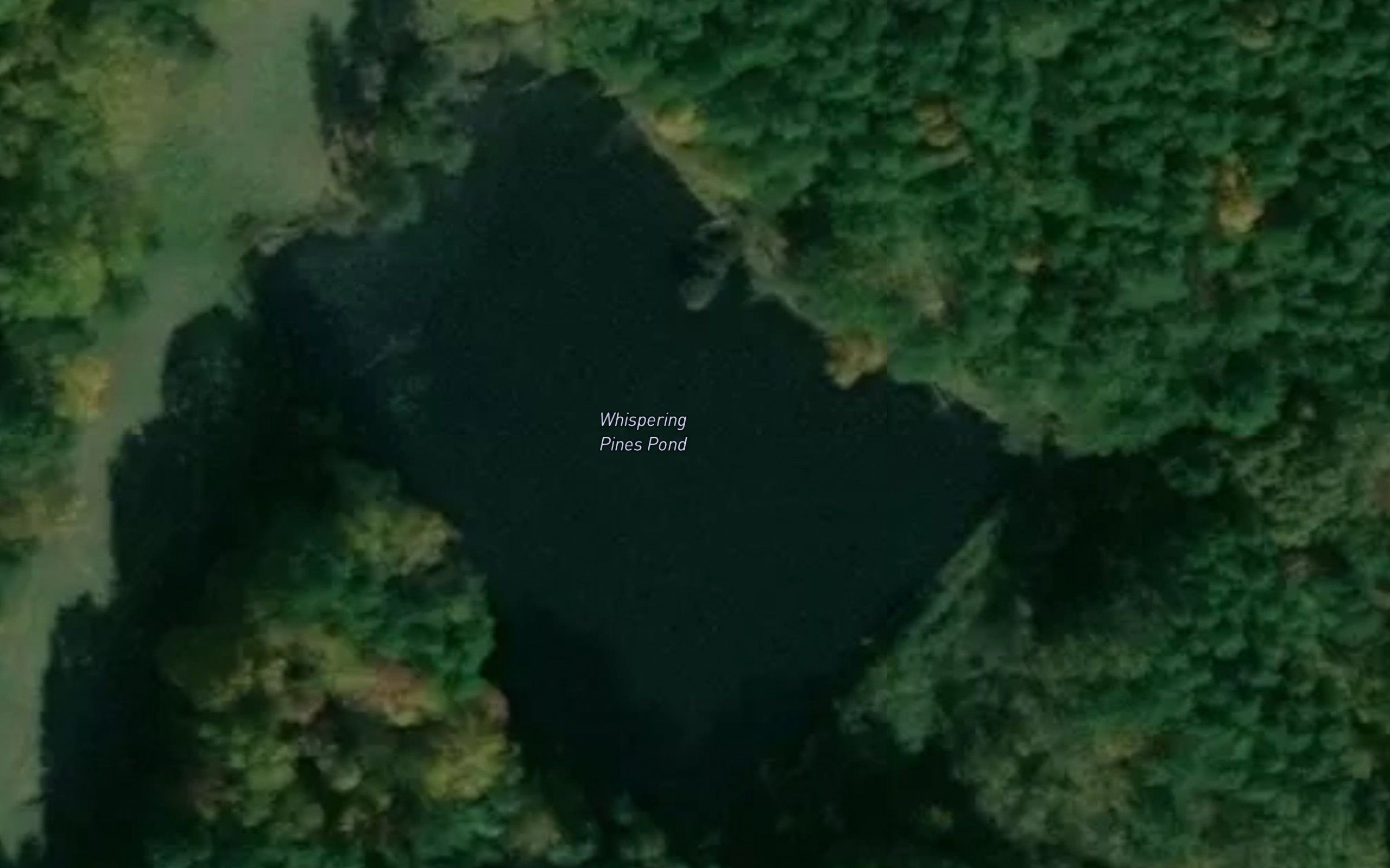 Whispering Pines Pond
