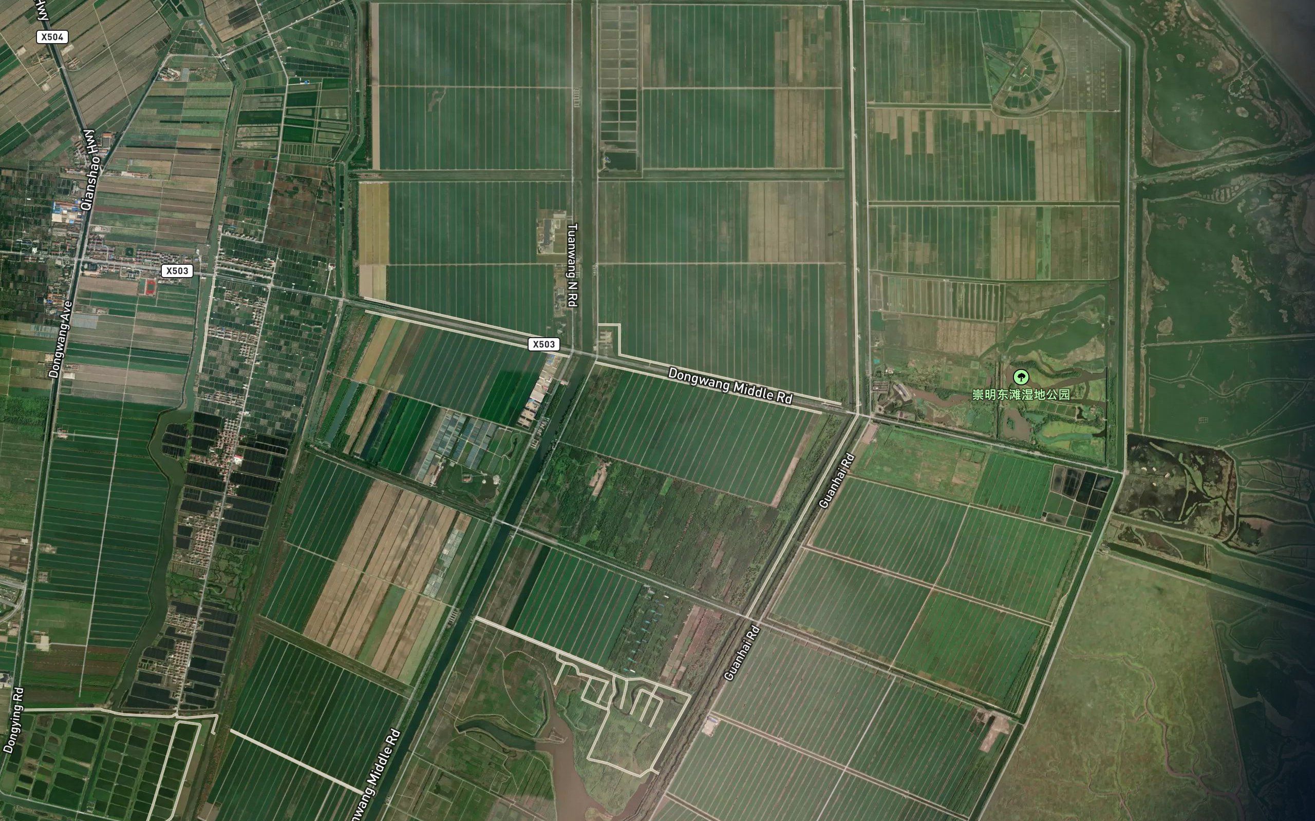 Chongming Dongtan