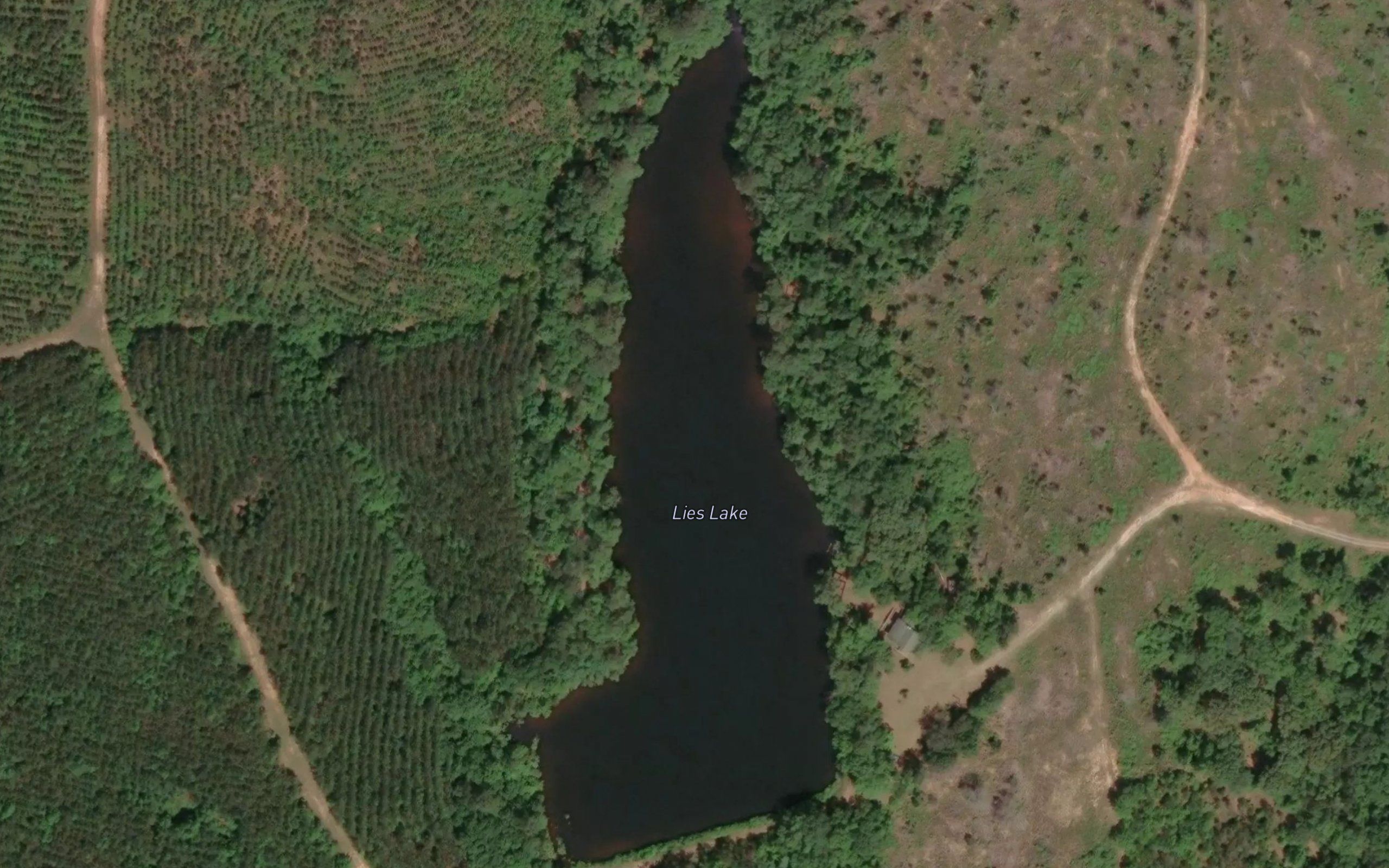 Lies Lake