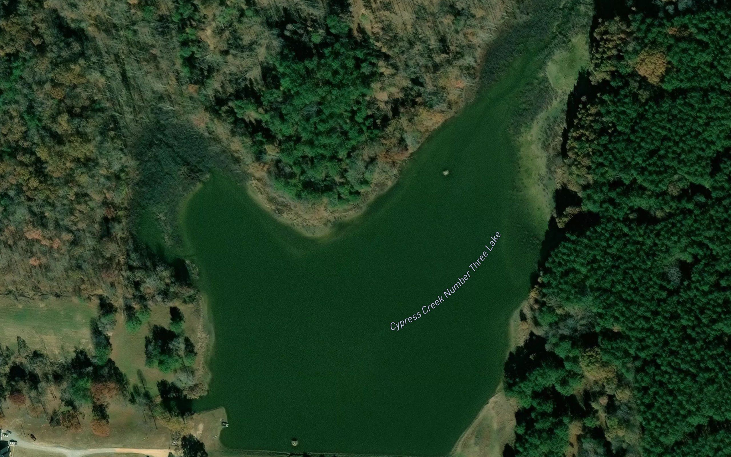 Cypress Creek Number Three Lake