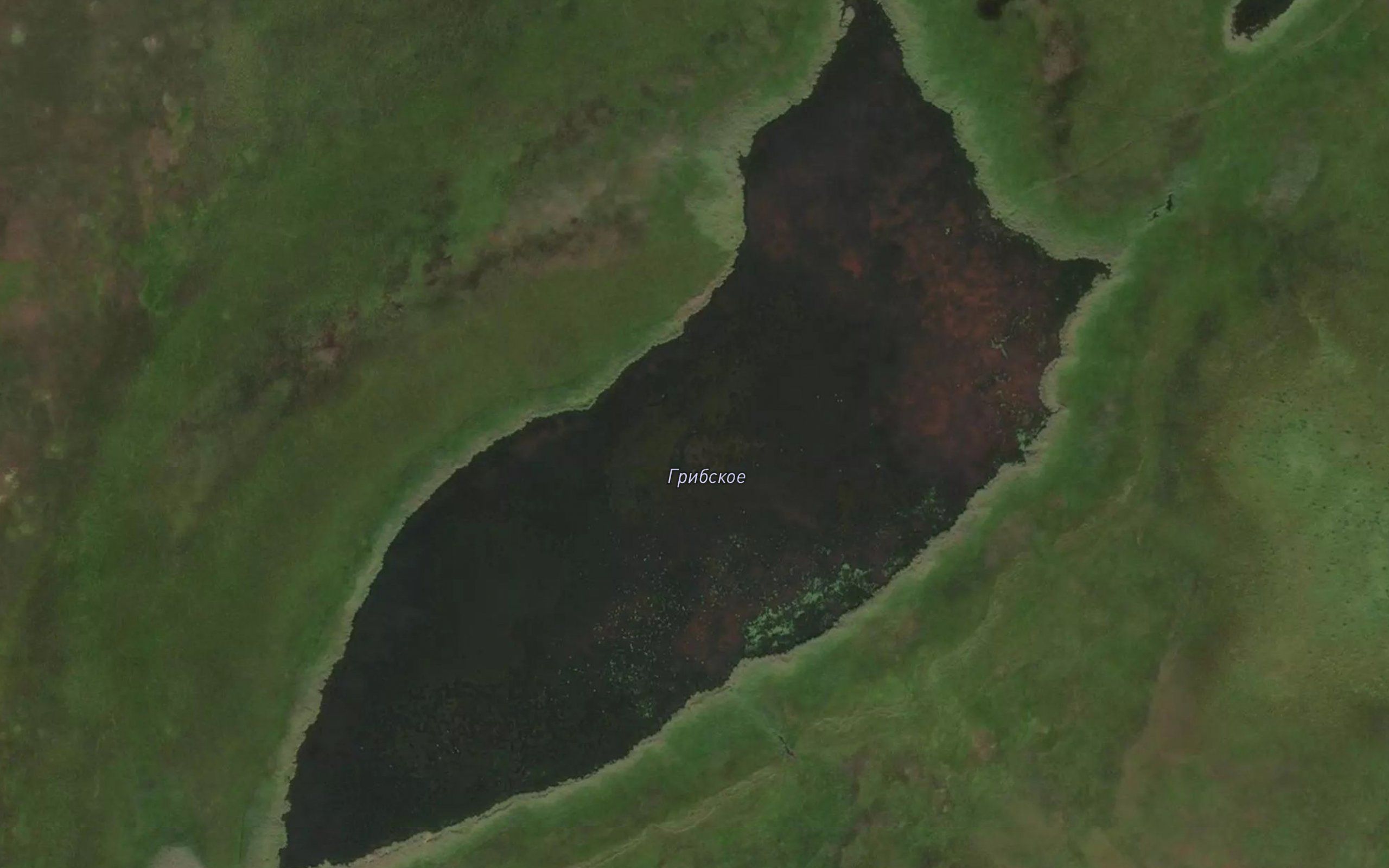 Ozero Gribskoye