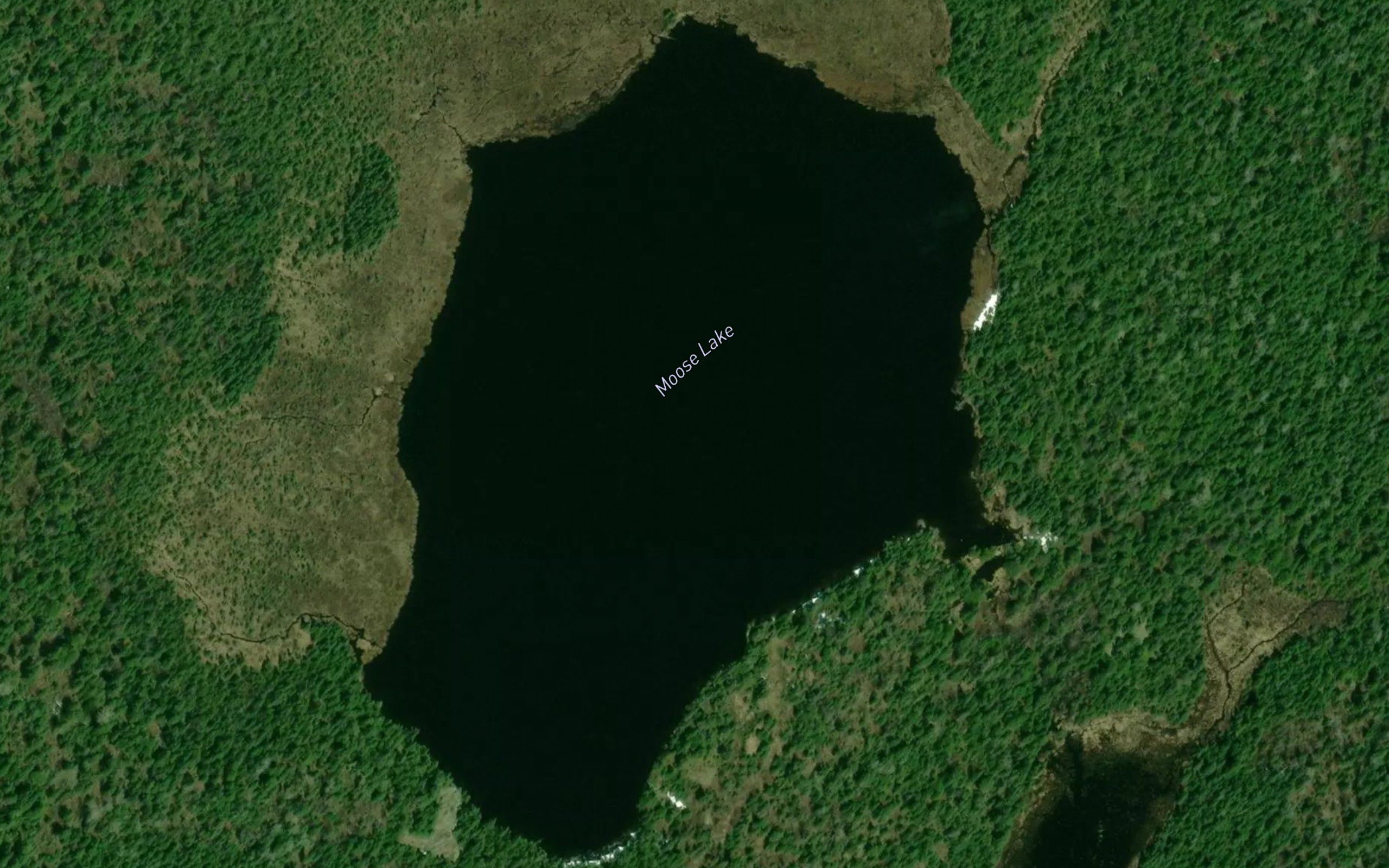 Moose Lake