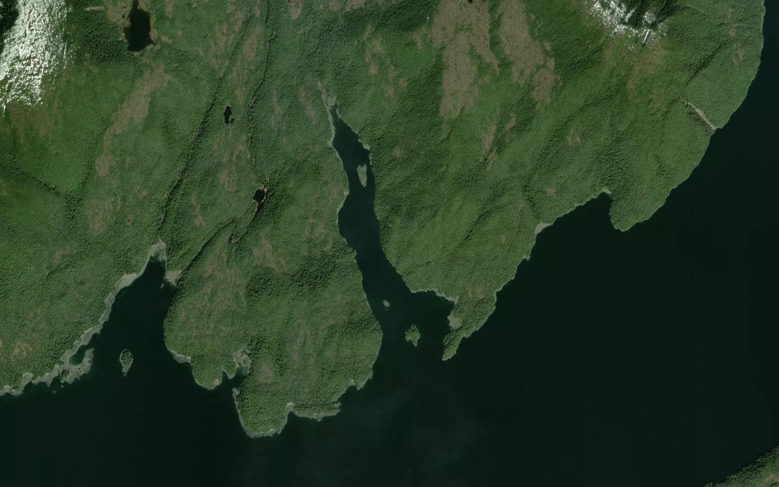 Moth Bay