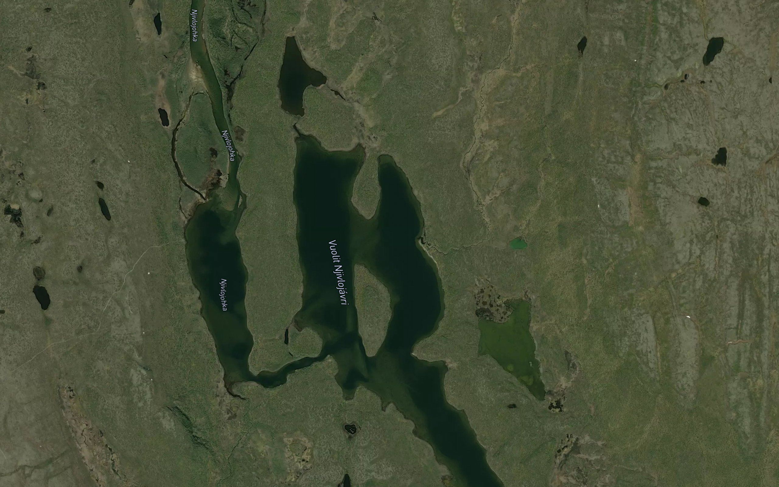 Njivlujavri,vuolit