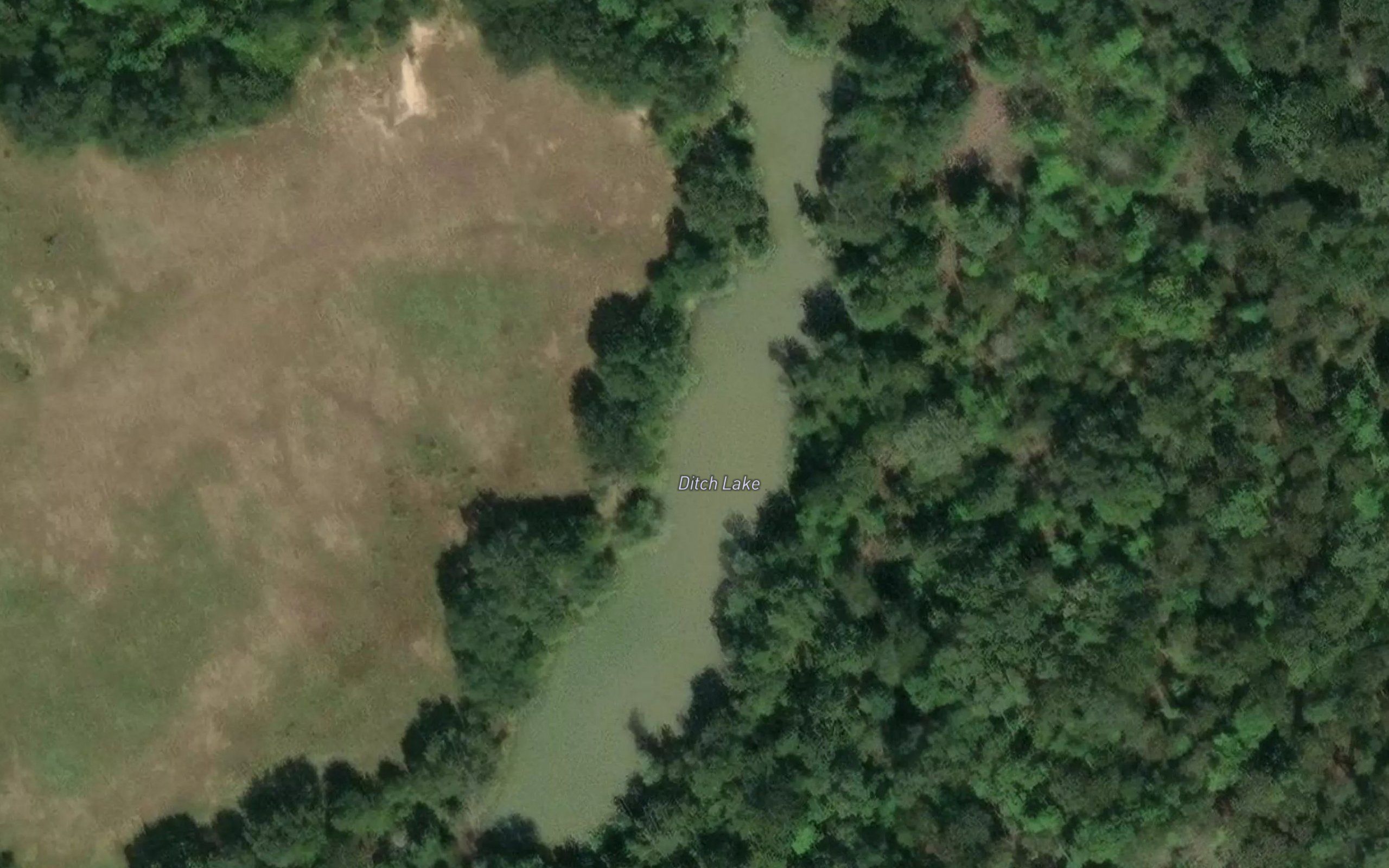 Ditch Lake