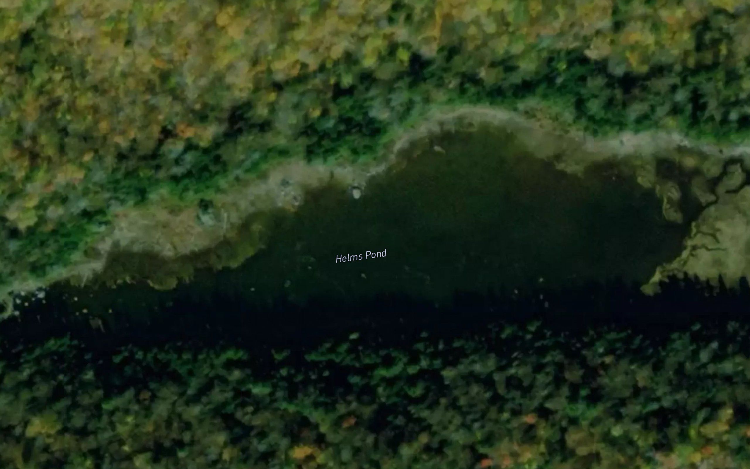 Helms Pond