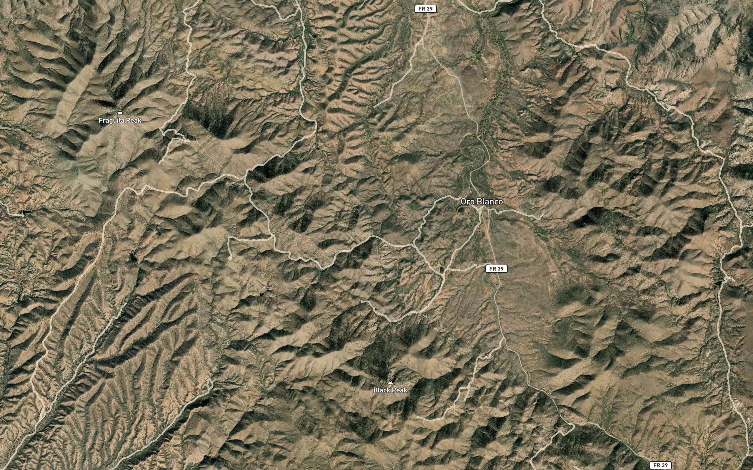 Yanks Spring