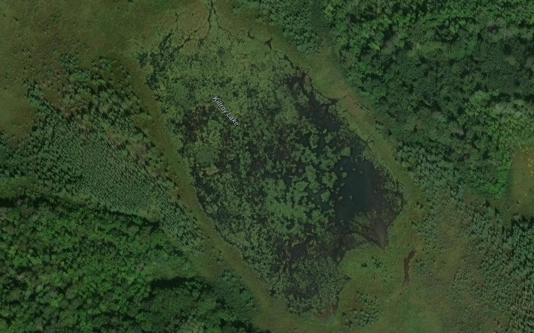 Satellite map of the Killroy Lake