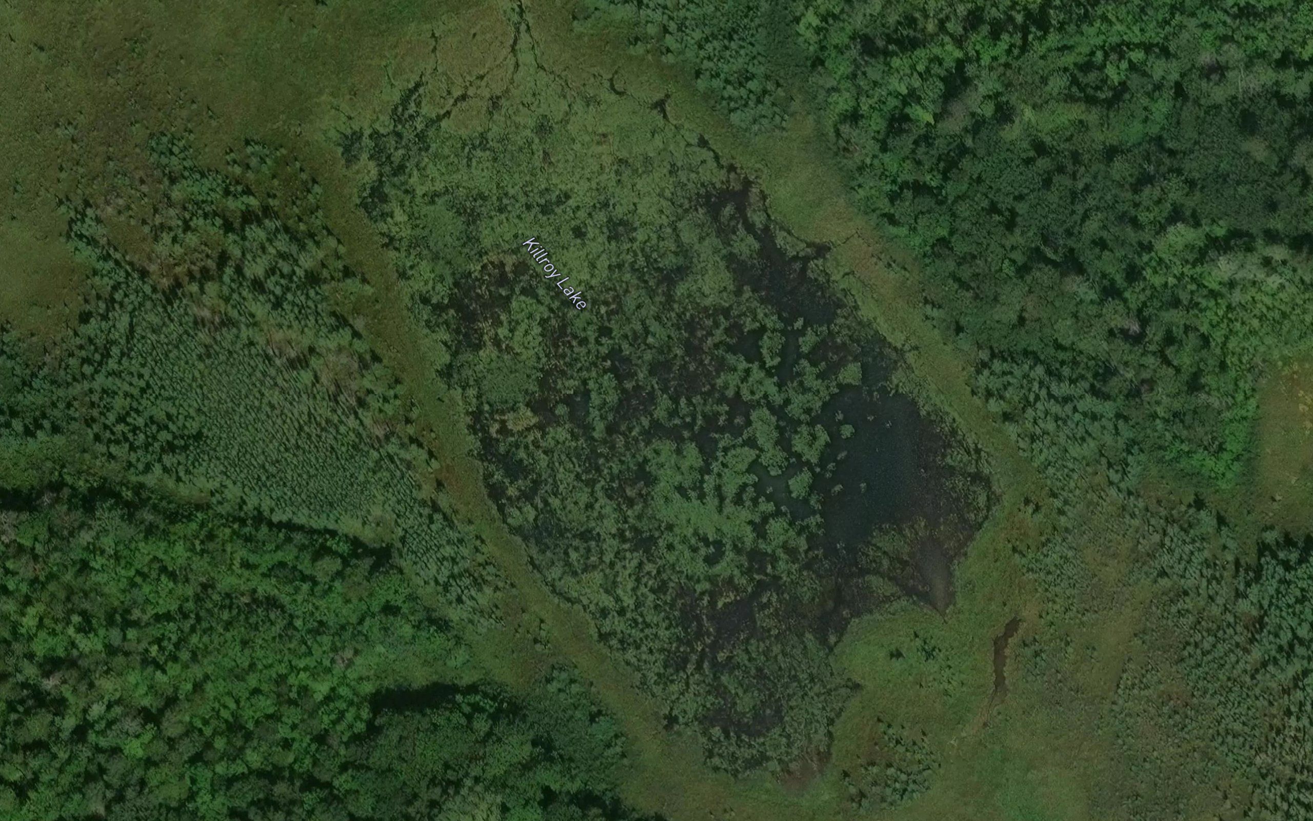 Killroy Lake