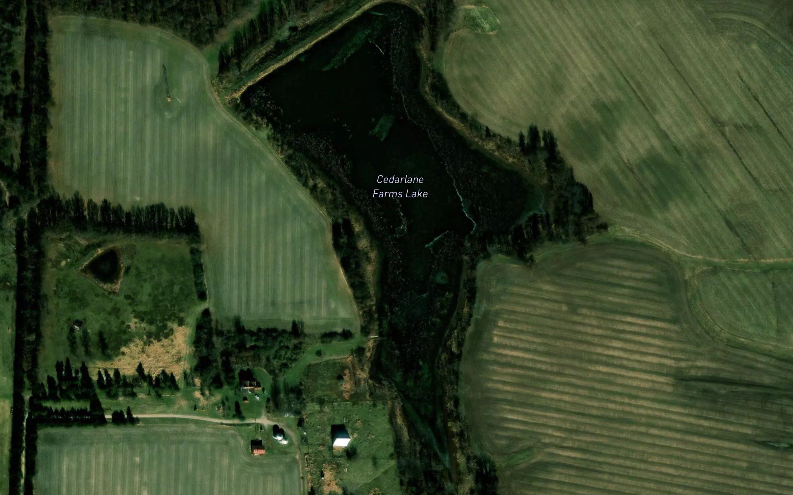 Cedarlane Farms Lake