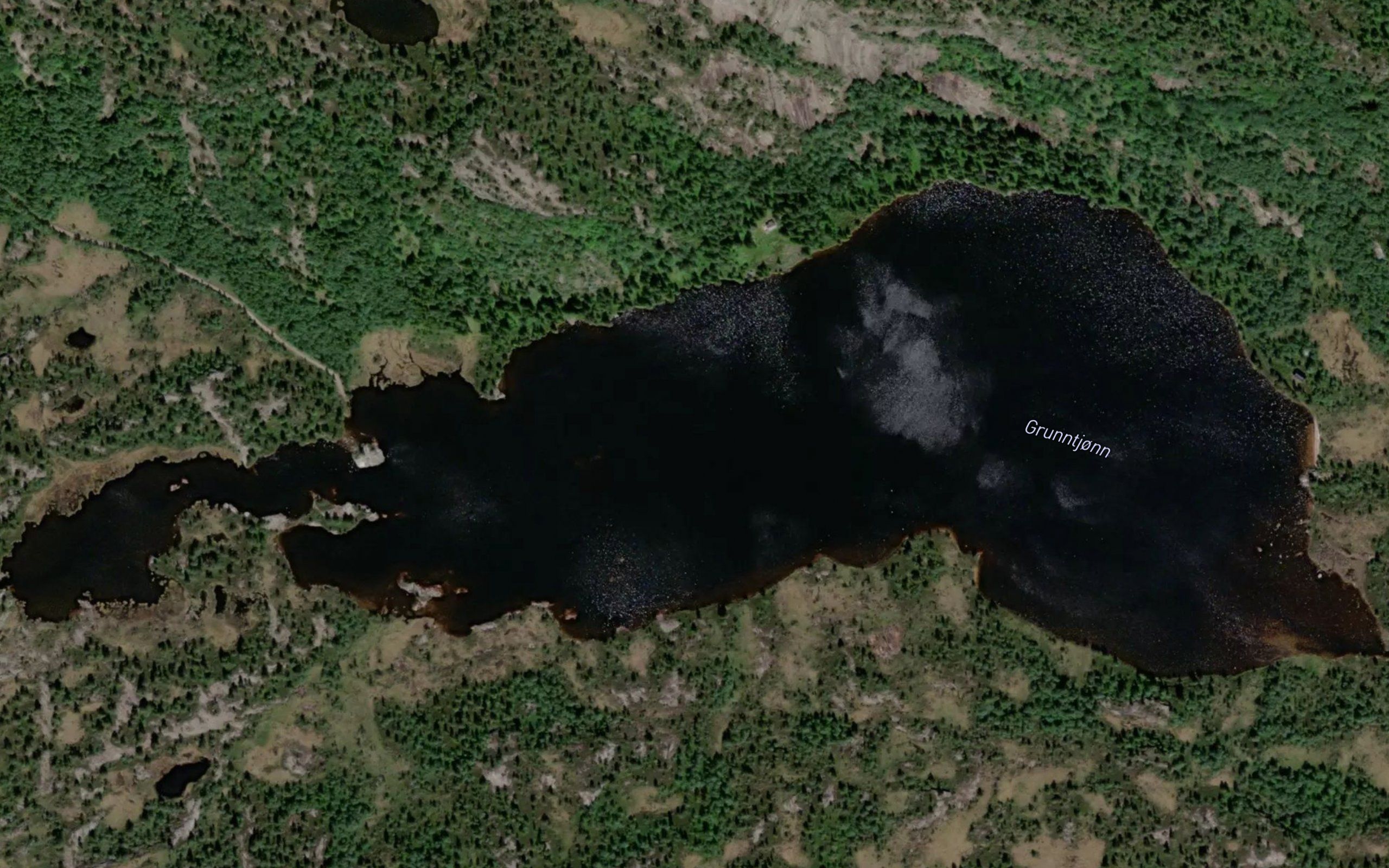 Grunntjorn