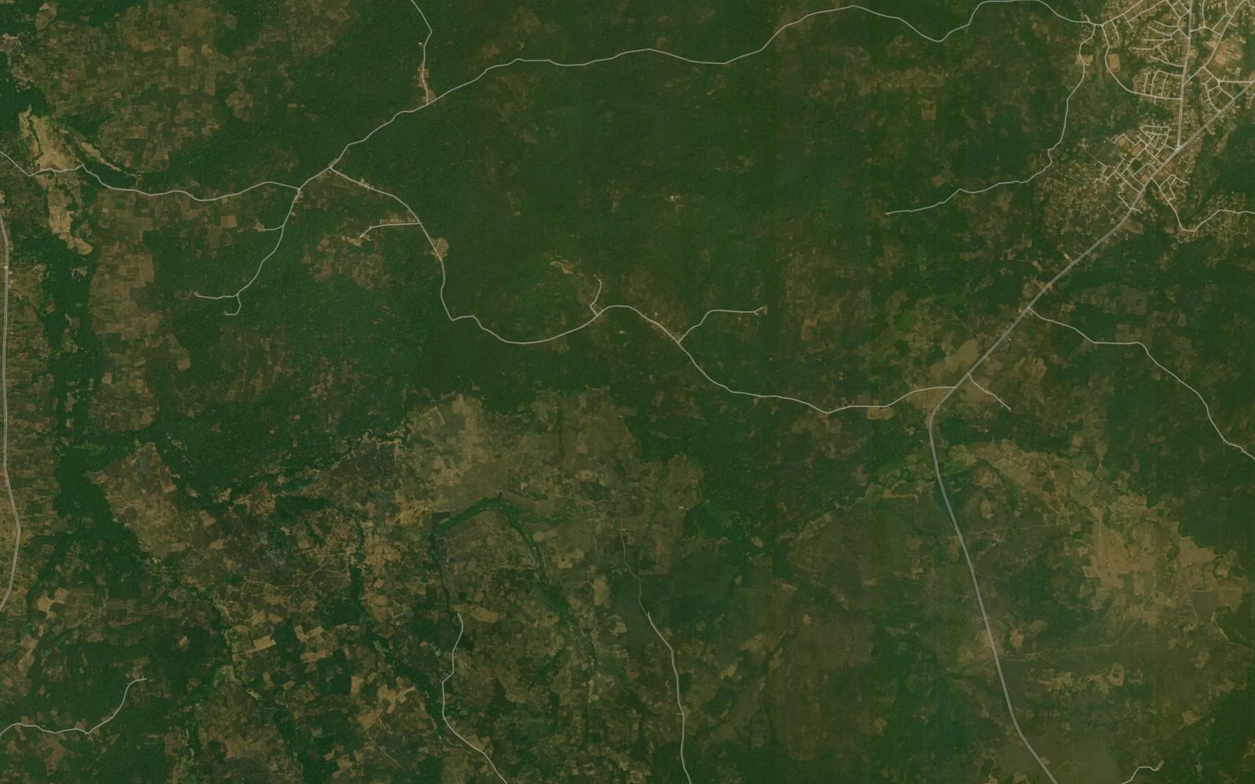 Satellite map of the Awo River