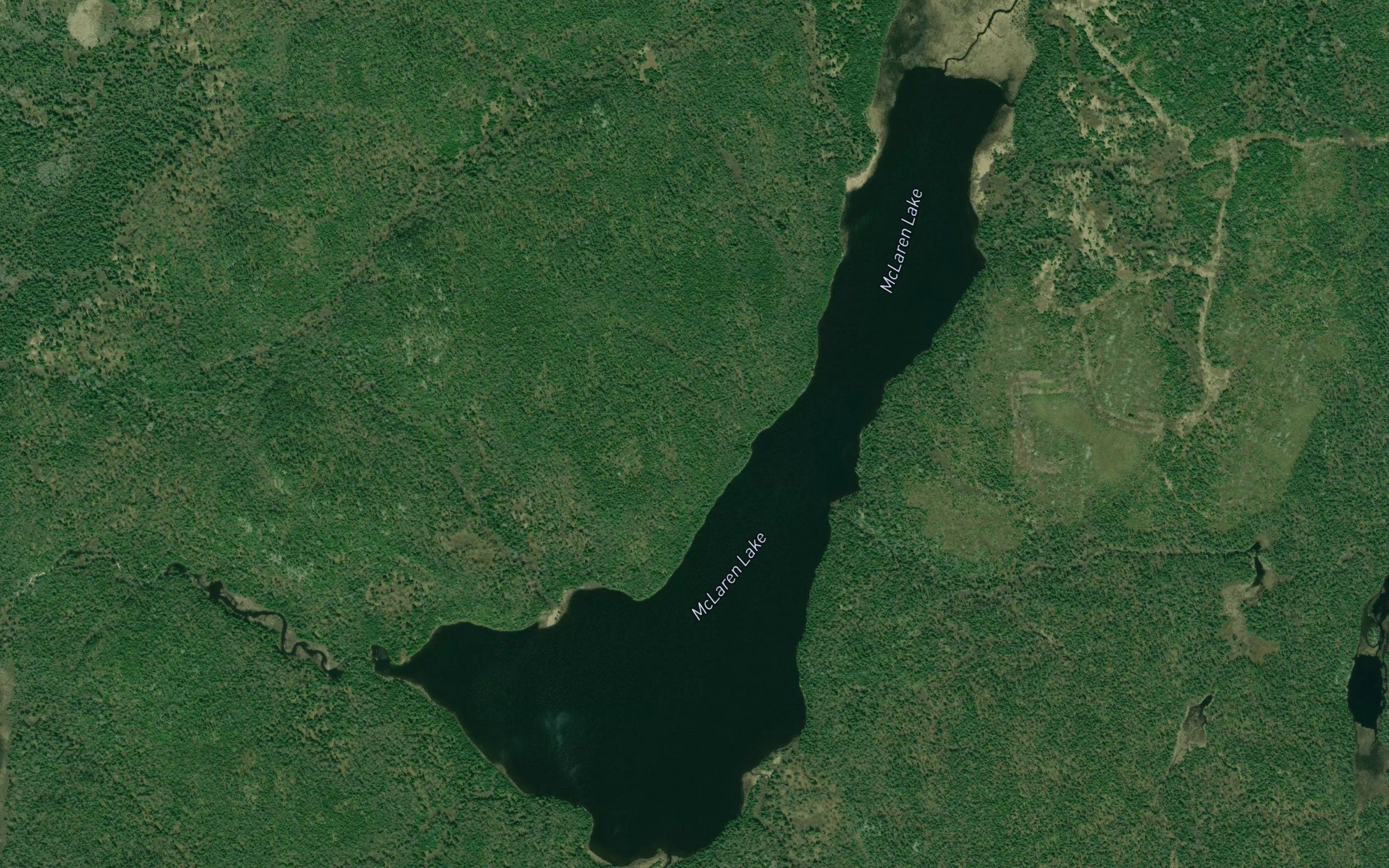 McLaren Lake