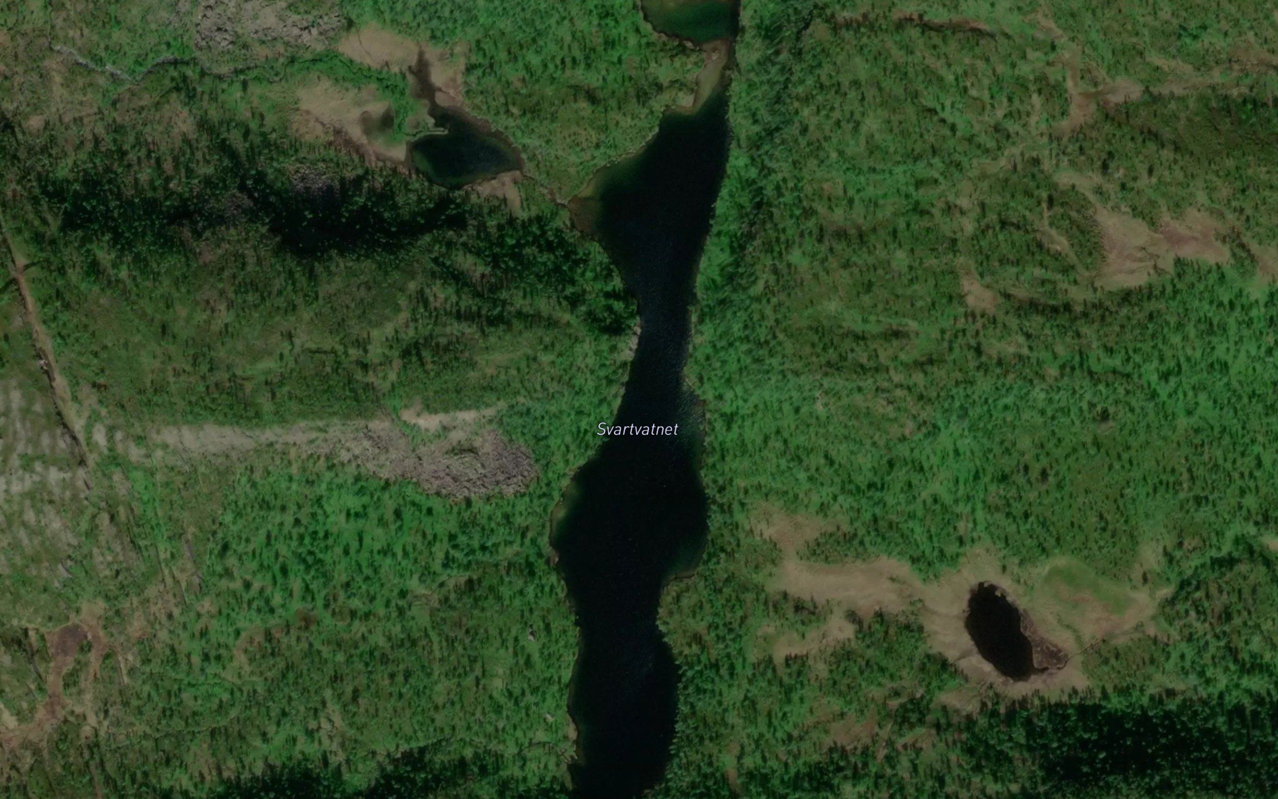 Svartevatnet