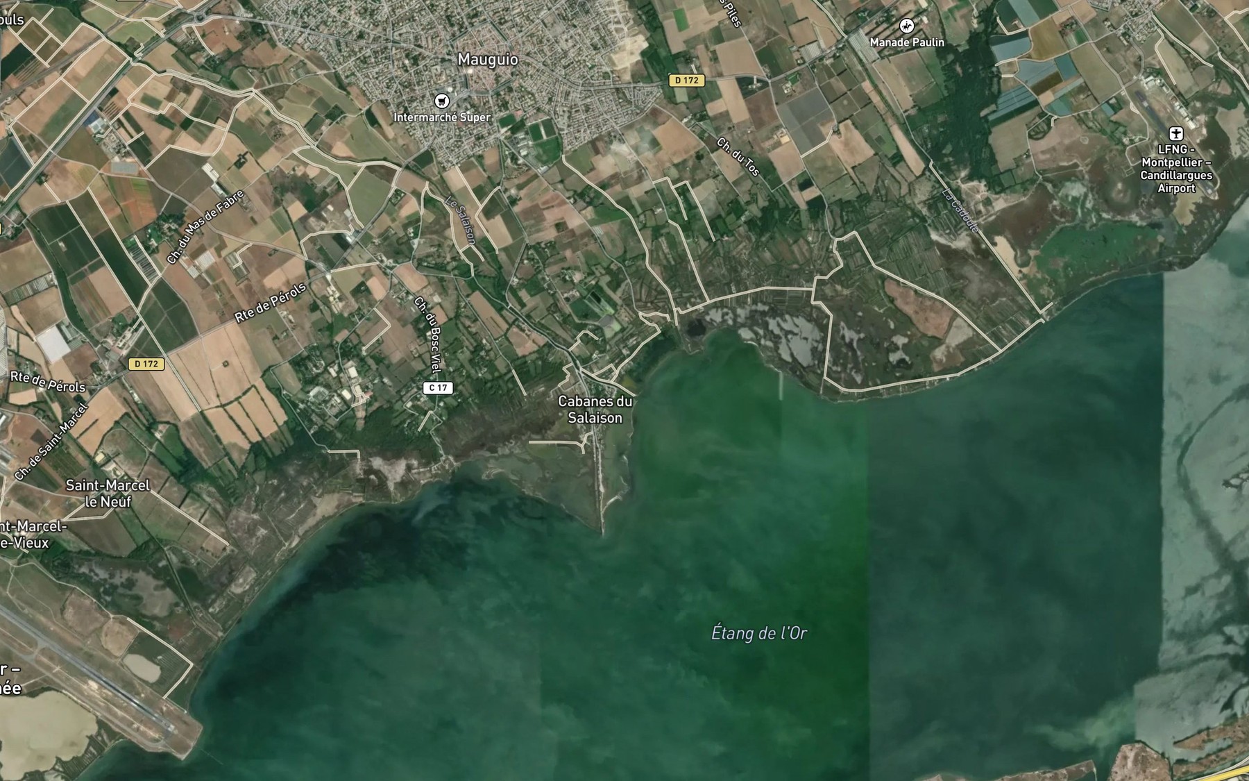 Satellite map of the Salaison