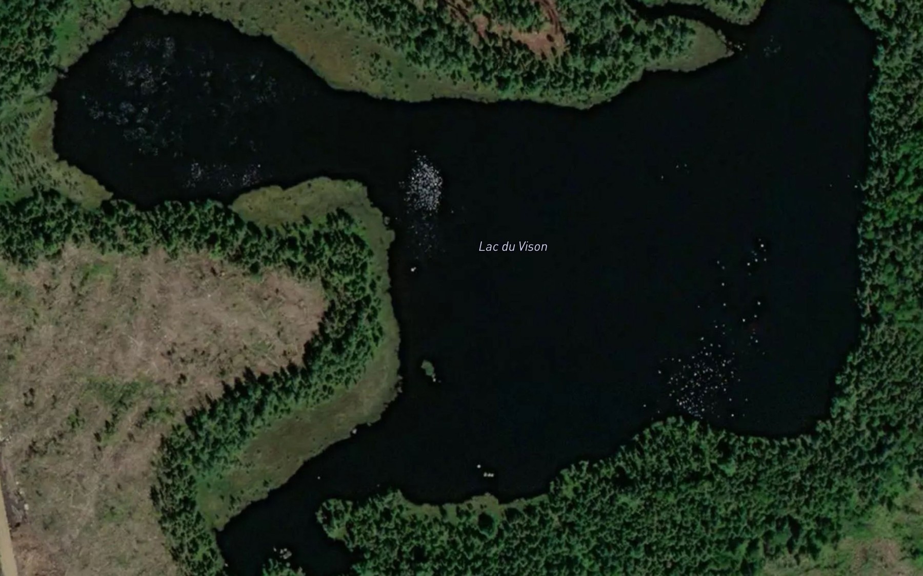 Satellite map of the Lac du Vison