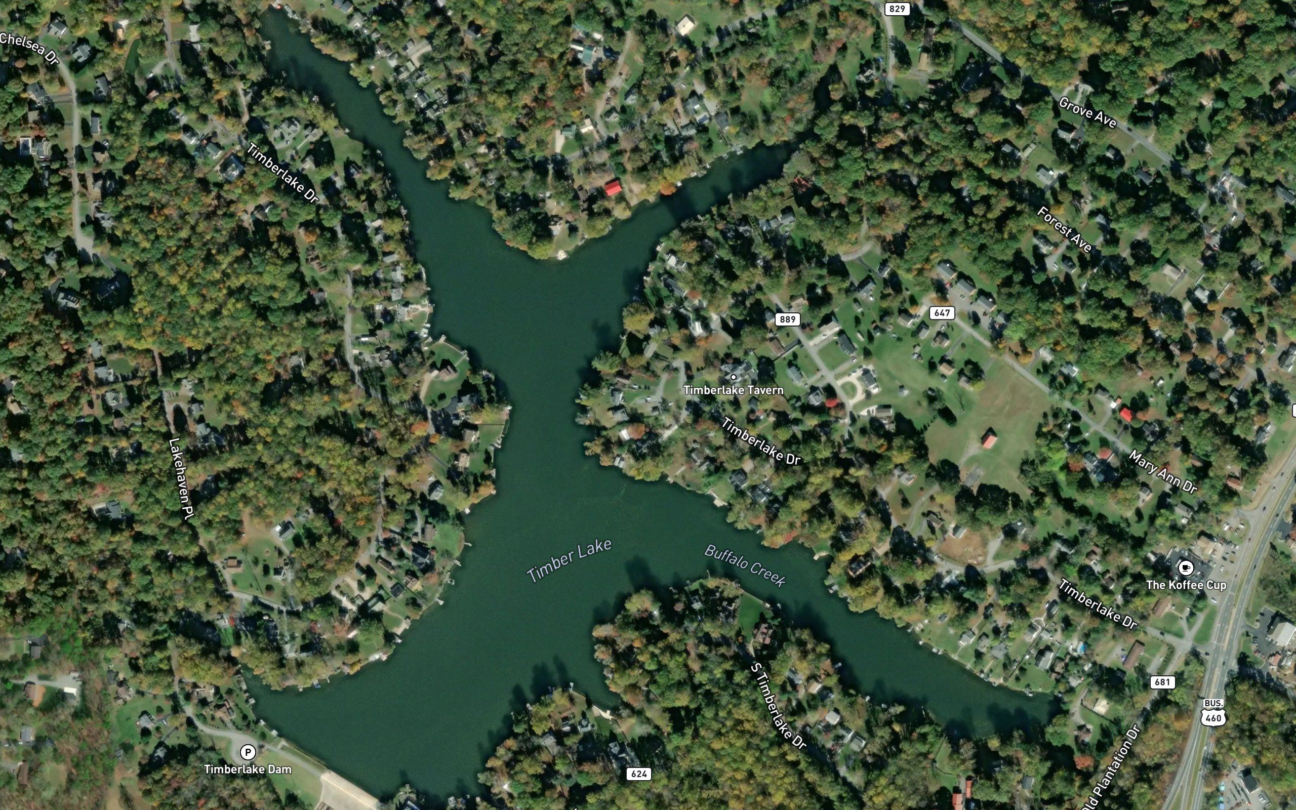 Timber Lake