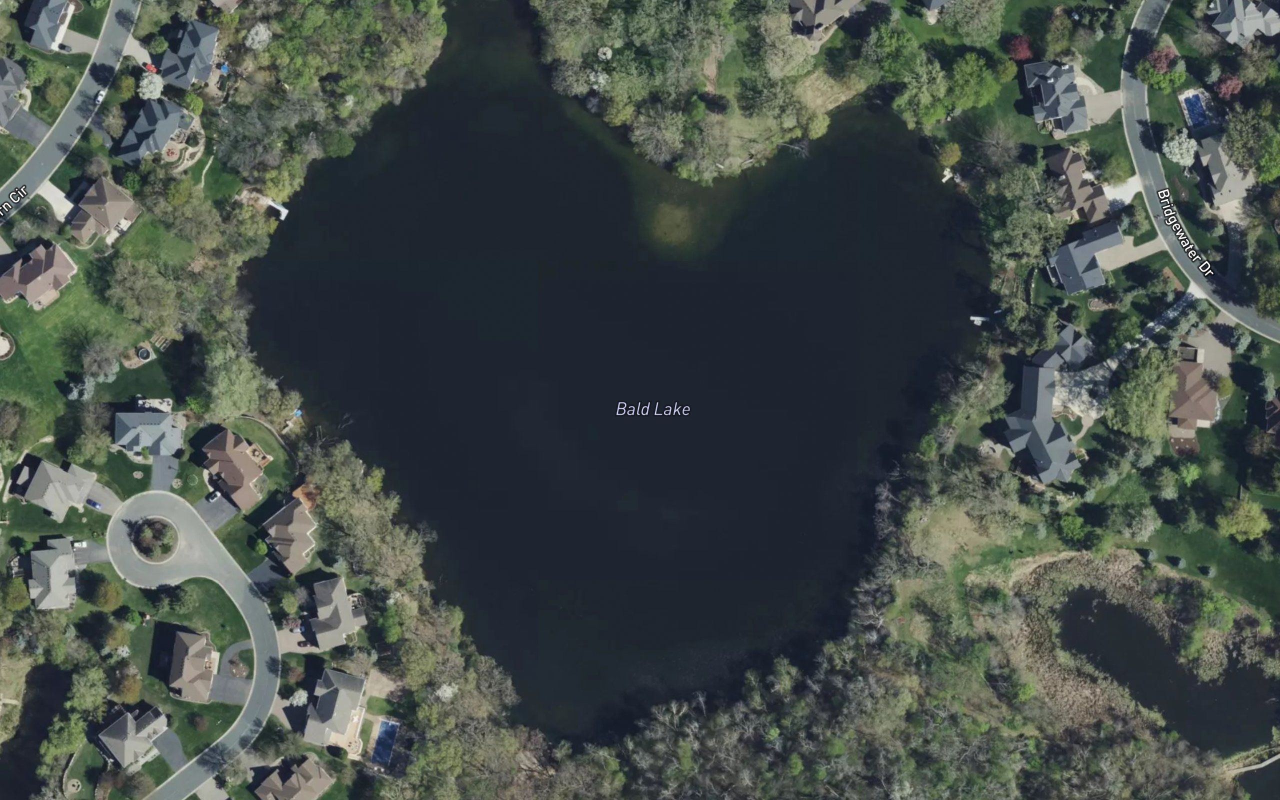 Bald Lake
